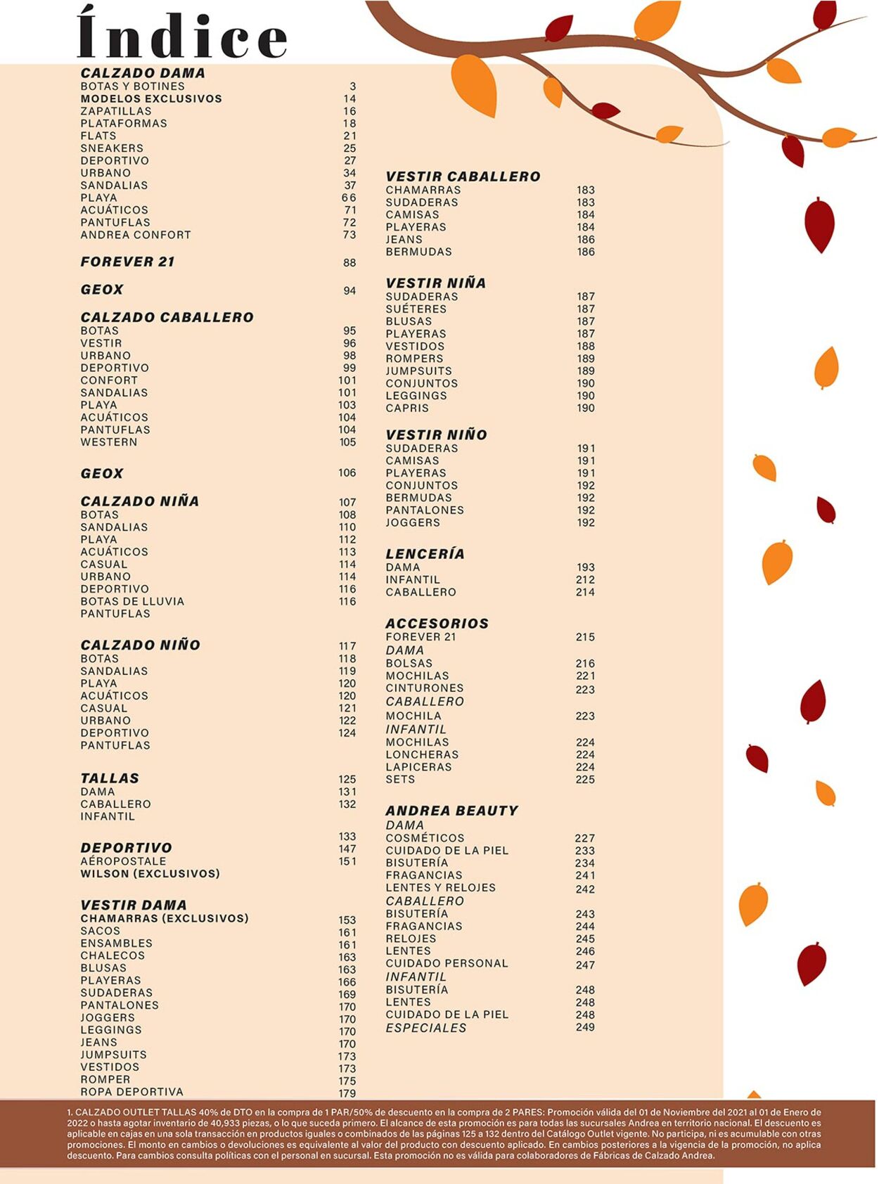 Catálogo Andrea 01.11.2021 - 01.01.2022