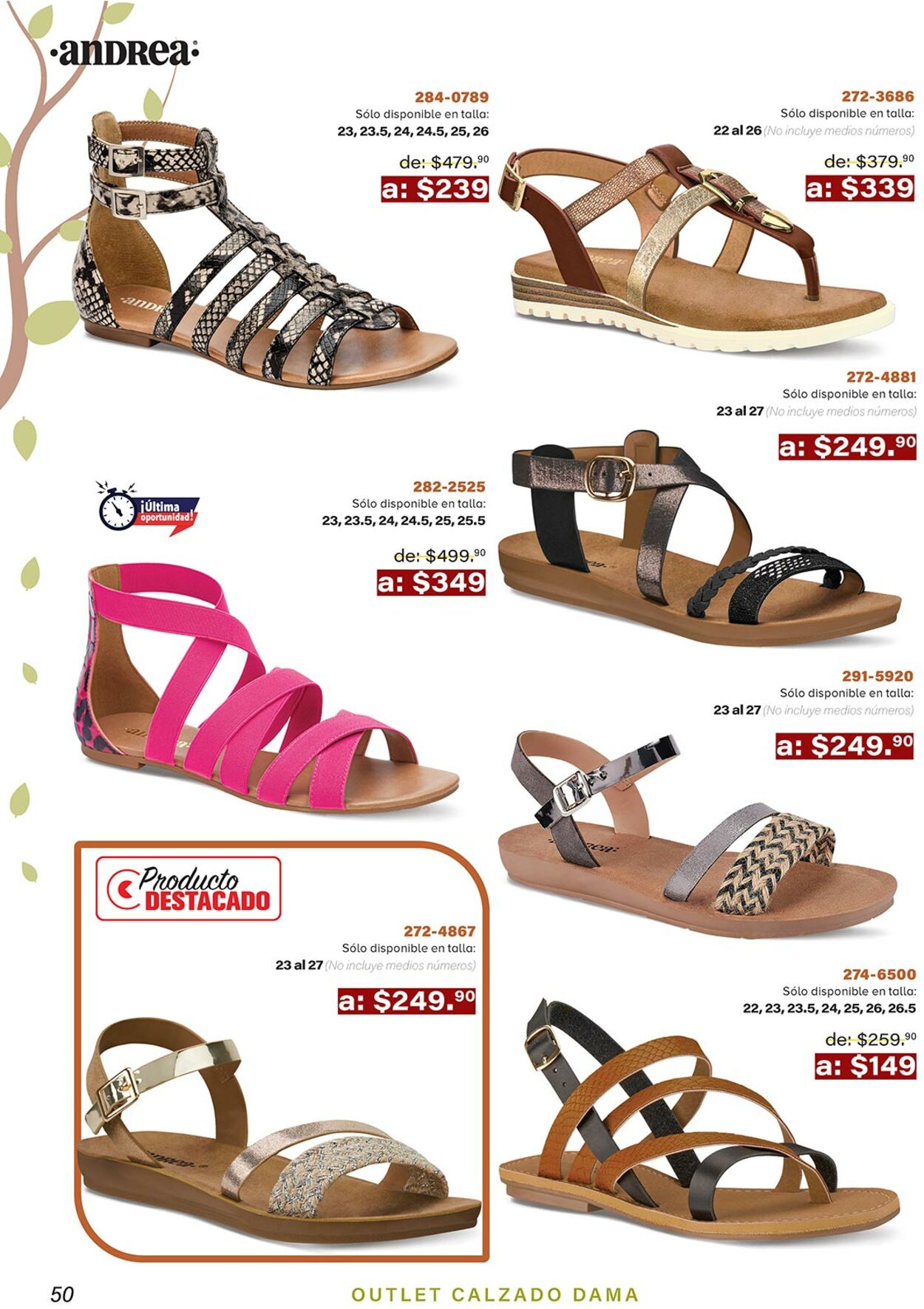 Catálogo Andrea 01.11.2021 - 01.01.2022