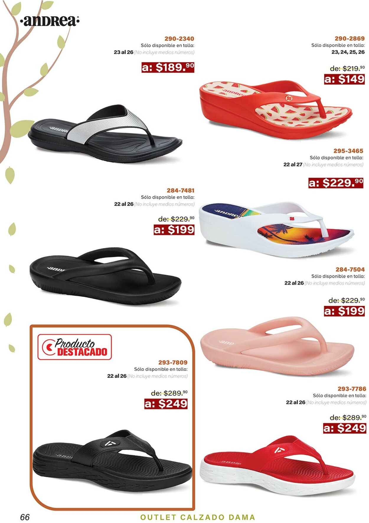 Catálogo Andrea 01.11.2021 - 01.01.2022