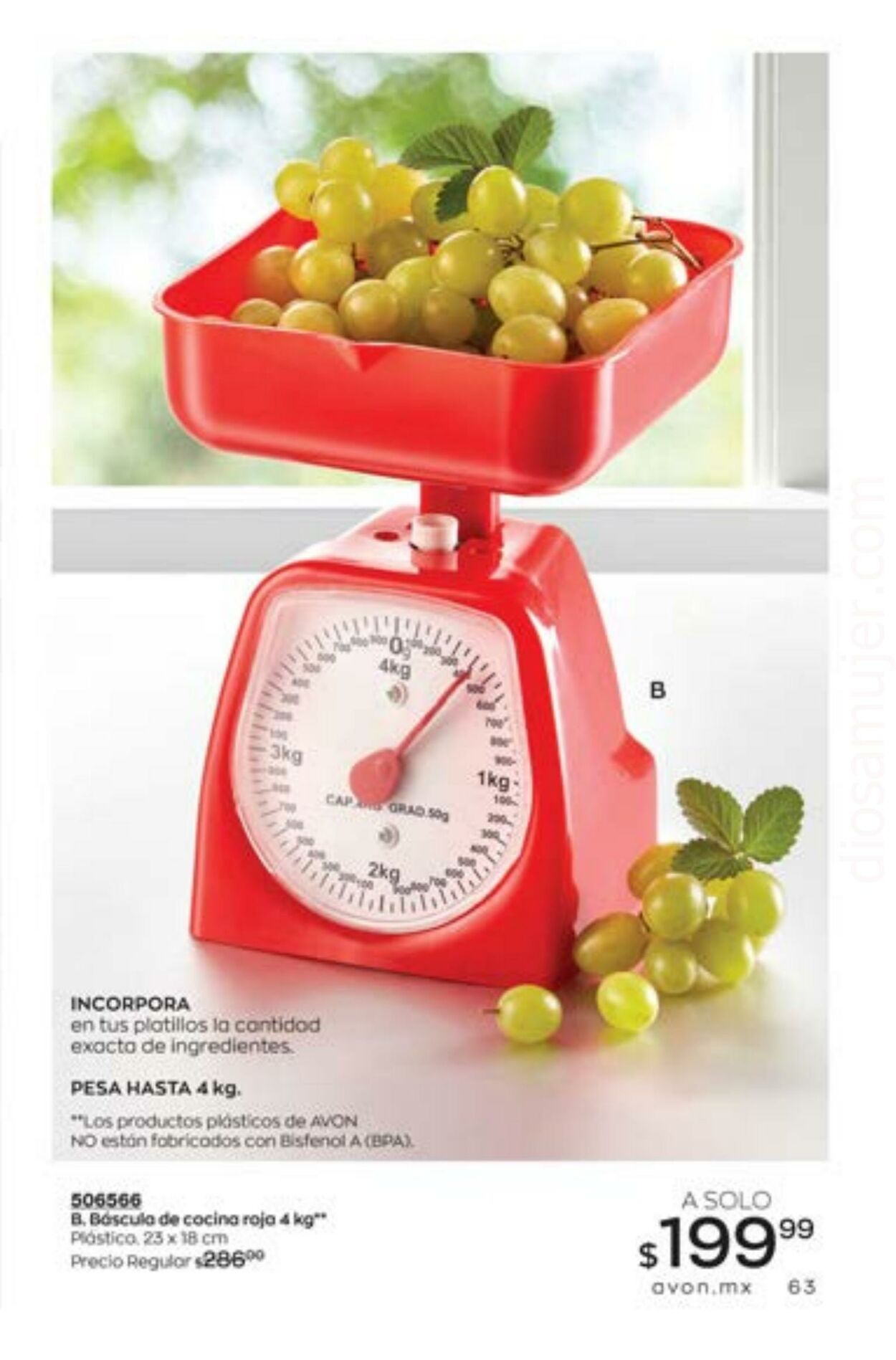 Catálogo Avon 29.07.2023 - 18.08.2023