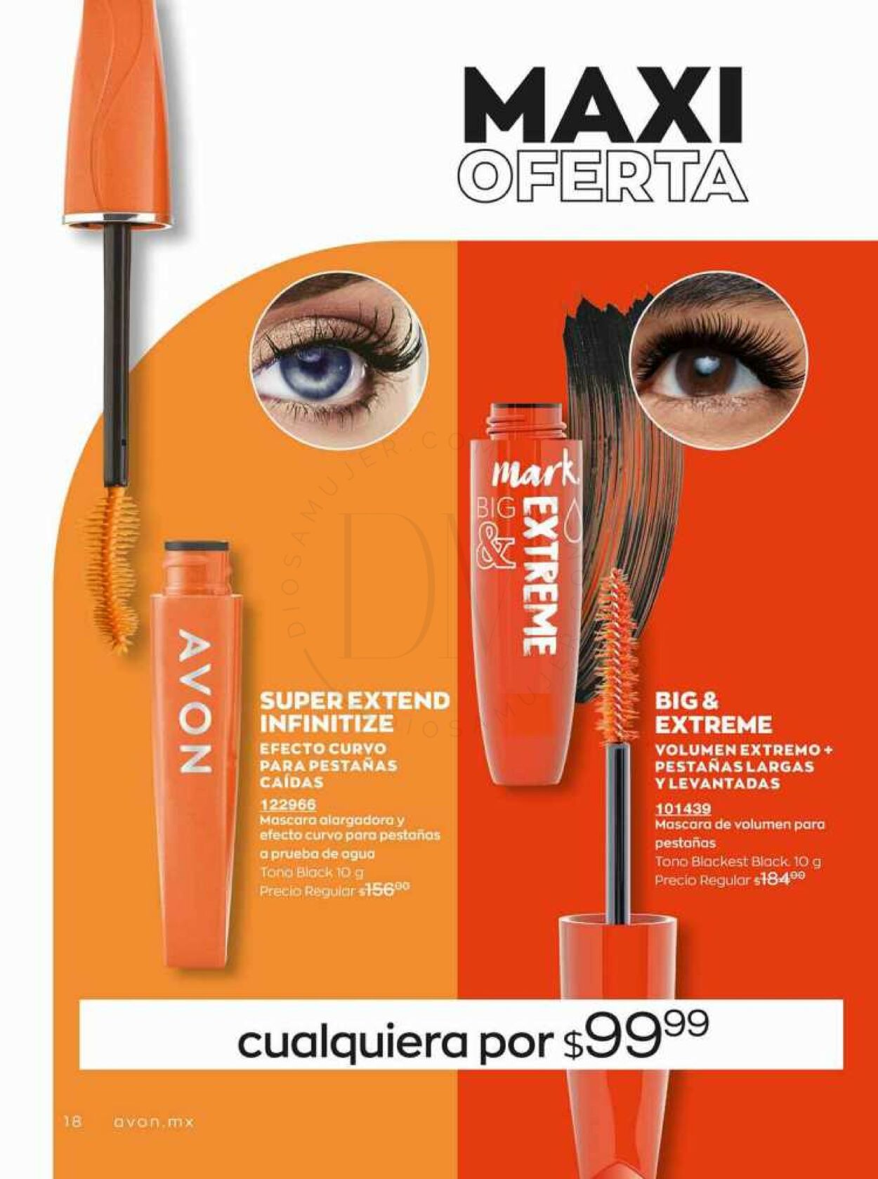 Catálogo Avon 19.08.2023 - 08.09.2023