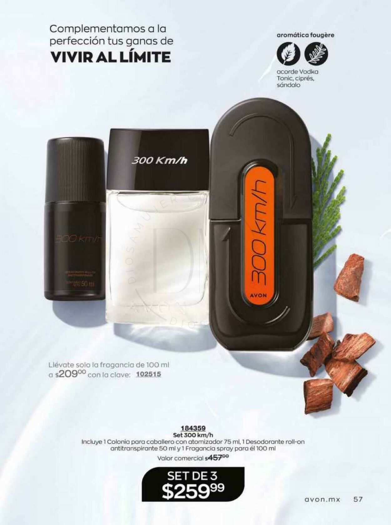 Catálogo Avon 19.08.2023 - 08.09.2023