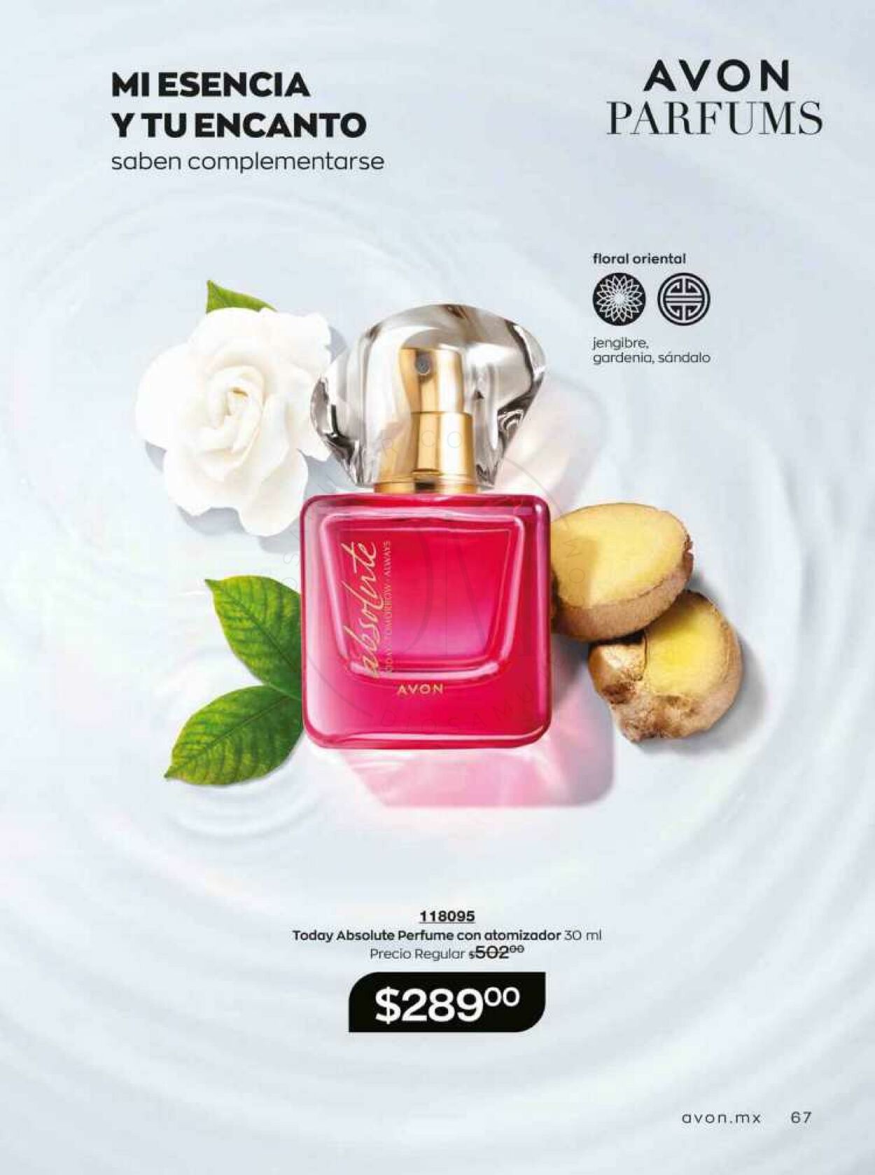 Catálogo Avon 19.08.2023 - 08.09.2023