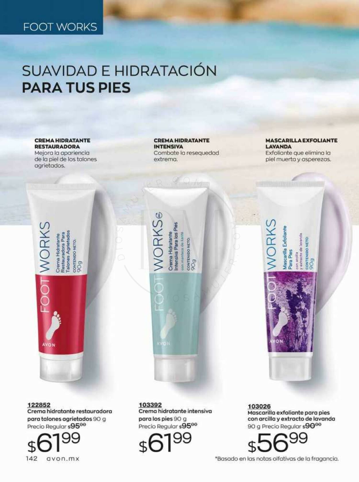 Catálogo Avon 19.08.2023 - 08.09.2023