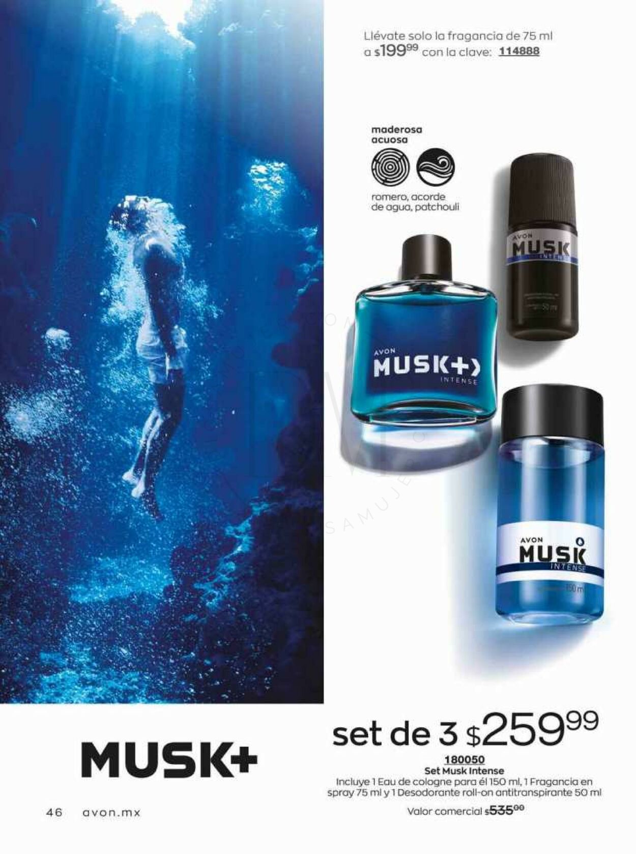 Catálogo Avon 19.08.2023 - 08.09.2023