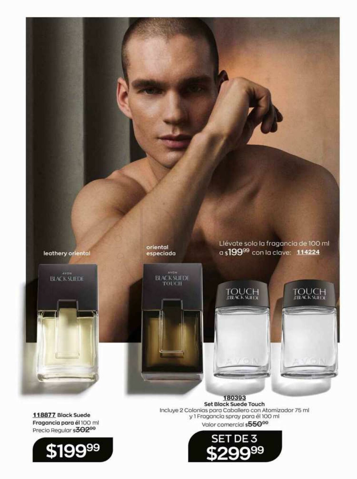 Catálogo Avon 19.08.2023 - 08.09.2023