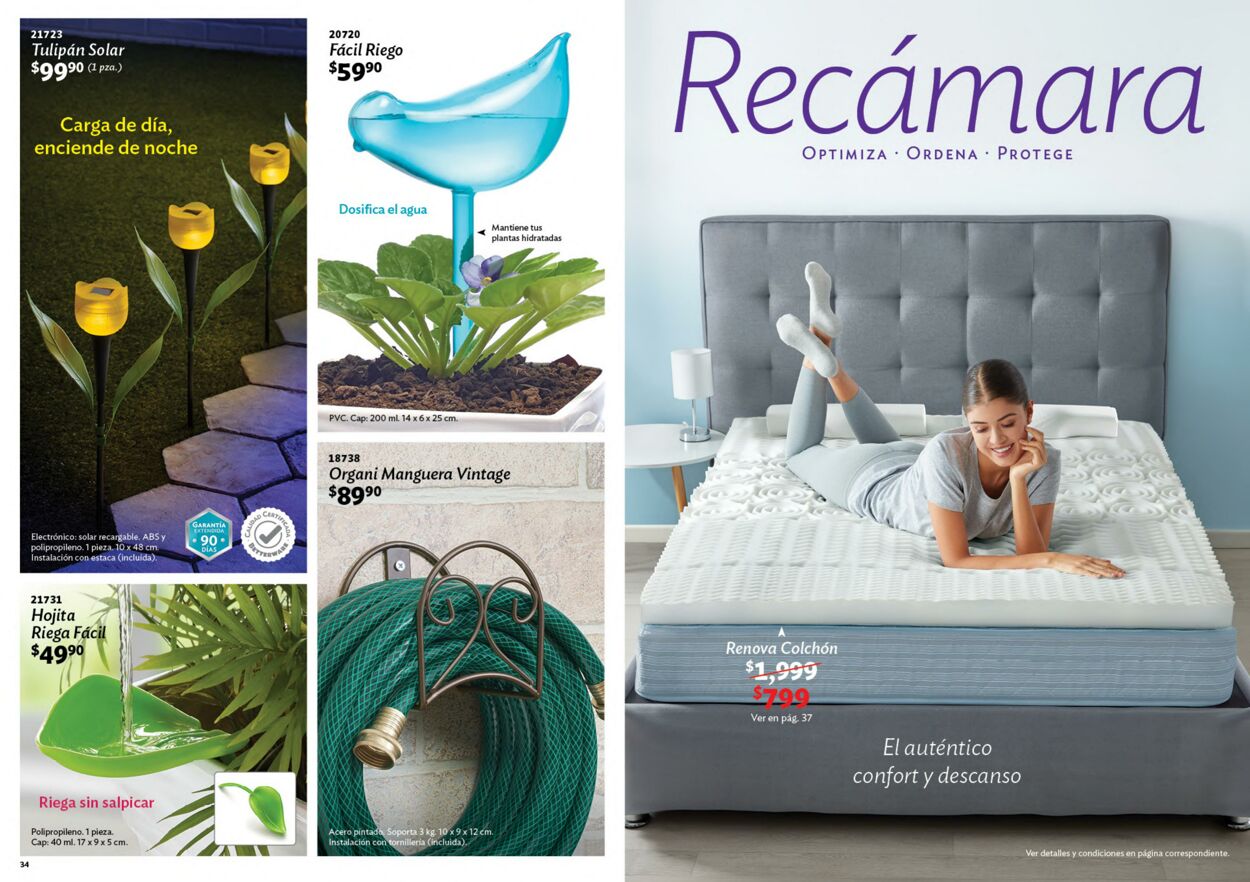 Catálogo Betterware 01.12.2021 - 31.12.2021