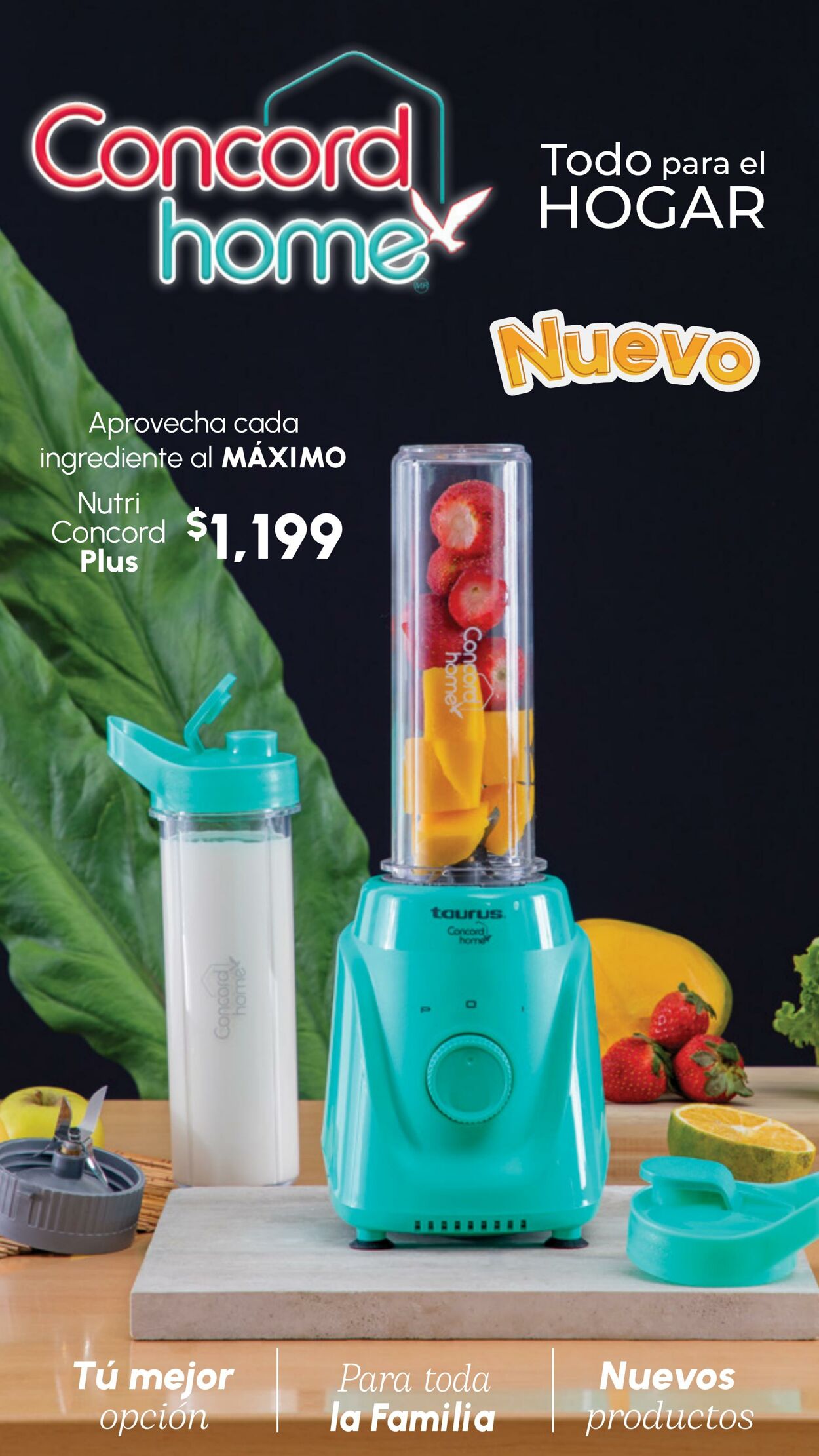 Catálogo Colchas Concord 2 mar., 2023