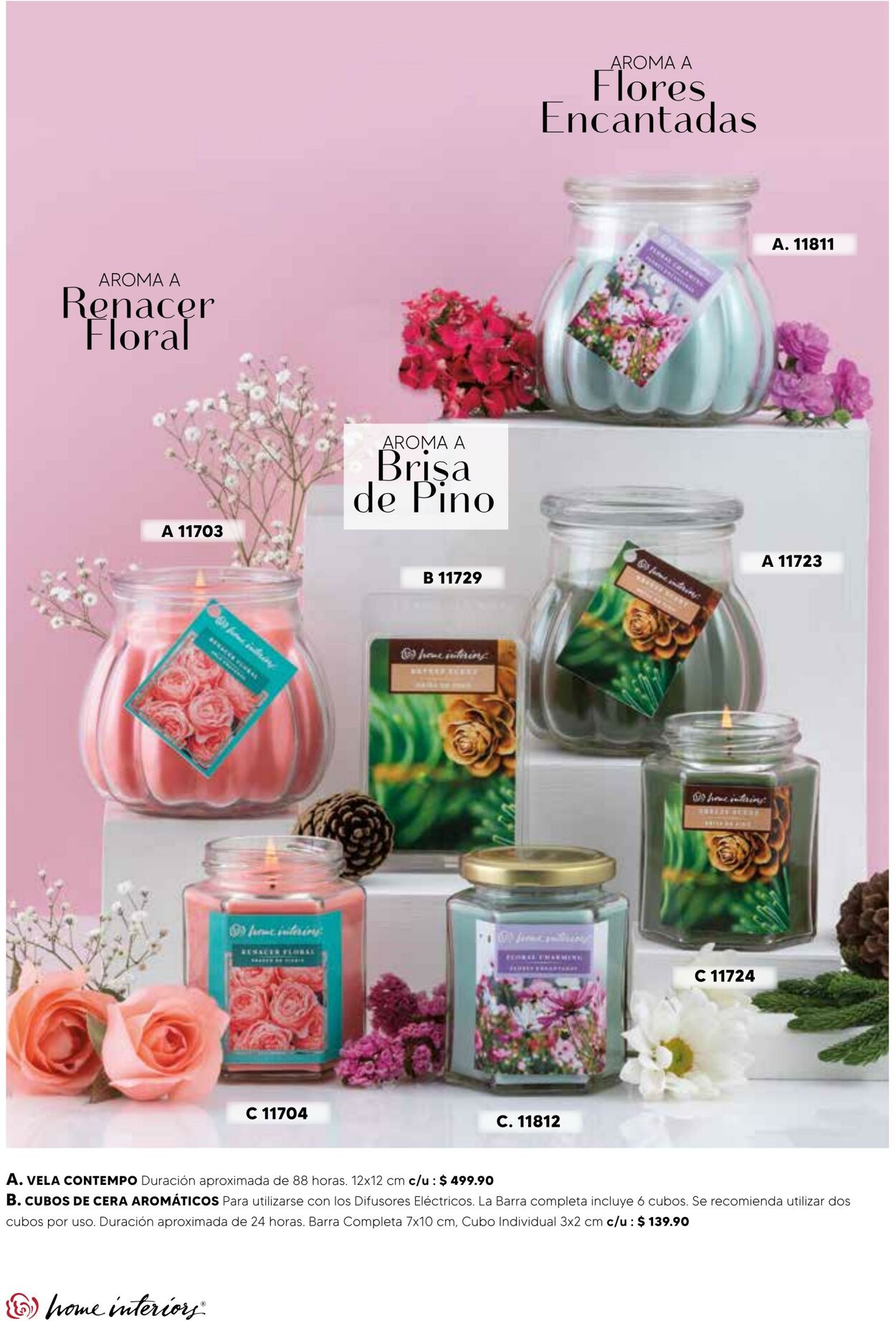 Catálogo Home Interiors 01.01.2022 - 31.01.2022