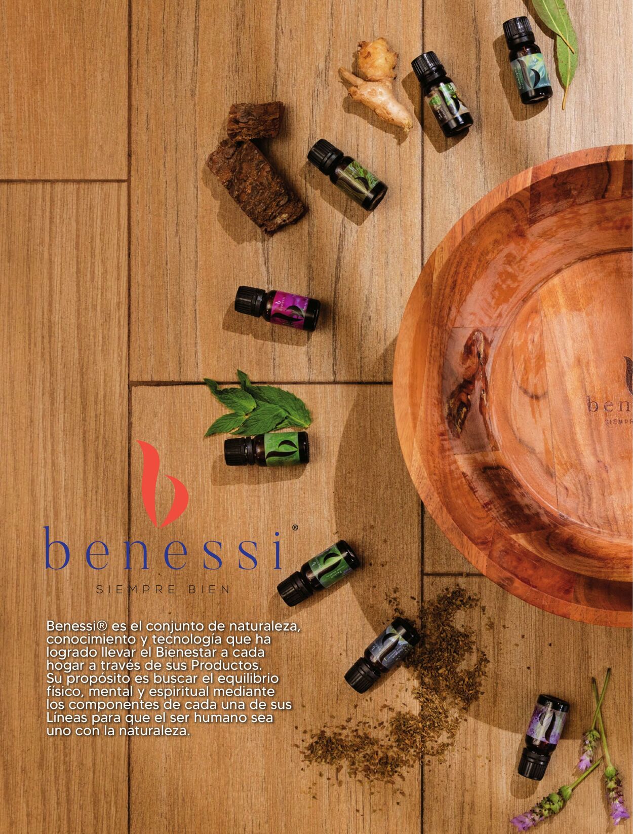 Catálogo Home Interiors 01.01.2022 - 31.01.2022