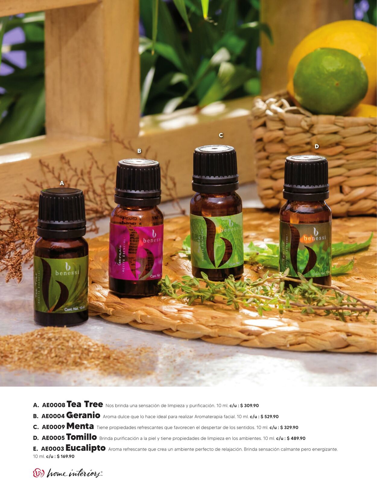 Catálogo Home Interiors 01.01.2022 - 31.01.2022