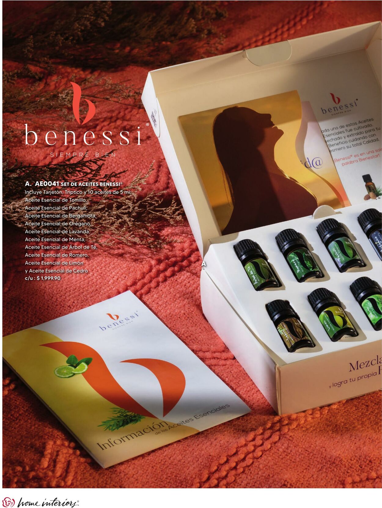 Catálogo Home Interiors 01.01.2022 - 31.01.2022