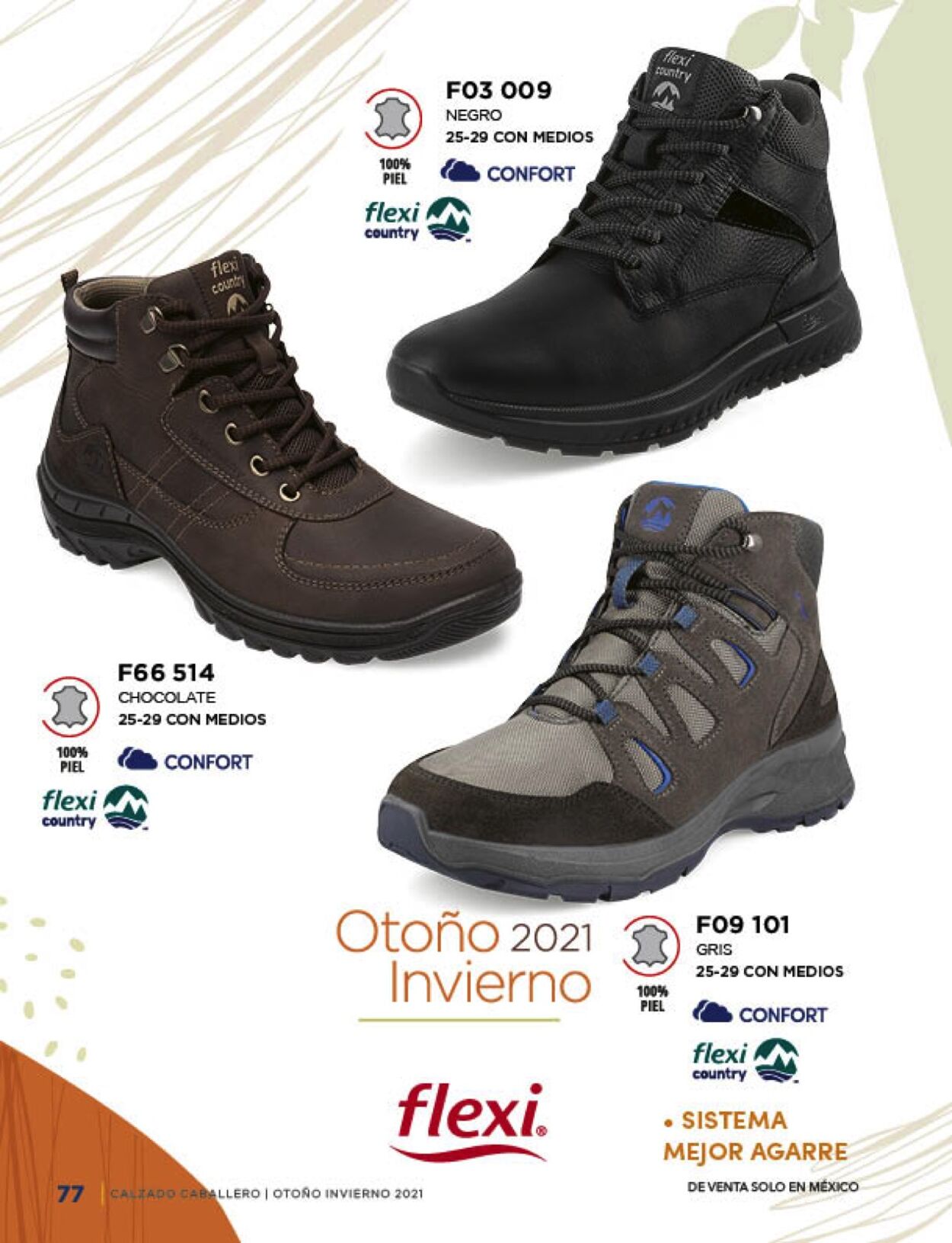 Catálogo Mundo Terra 01.01.2021 - 31.01.2022