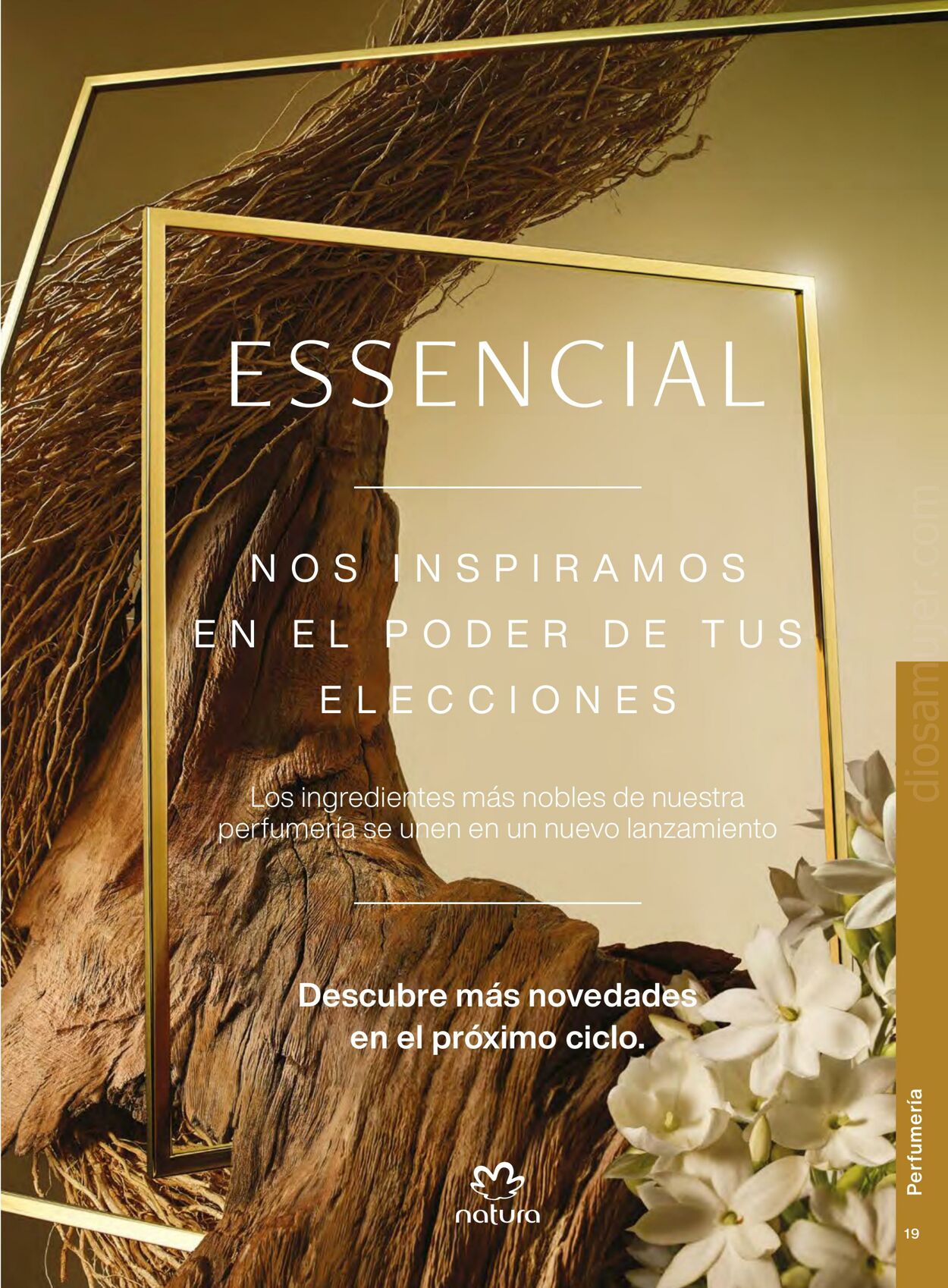 Catálogo Natura 26.06.2023 - 16.07.2023