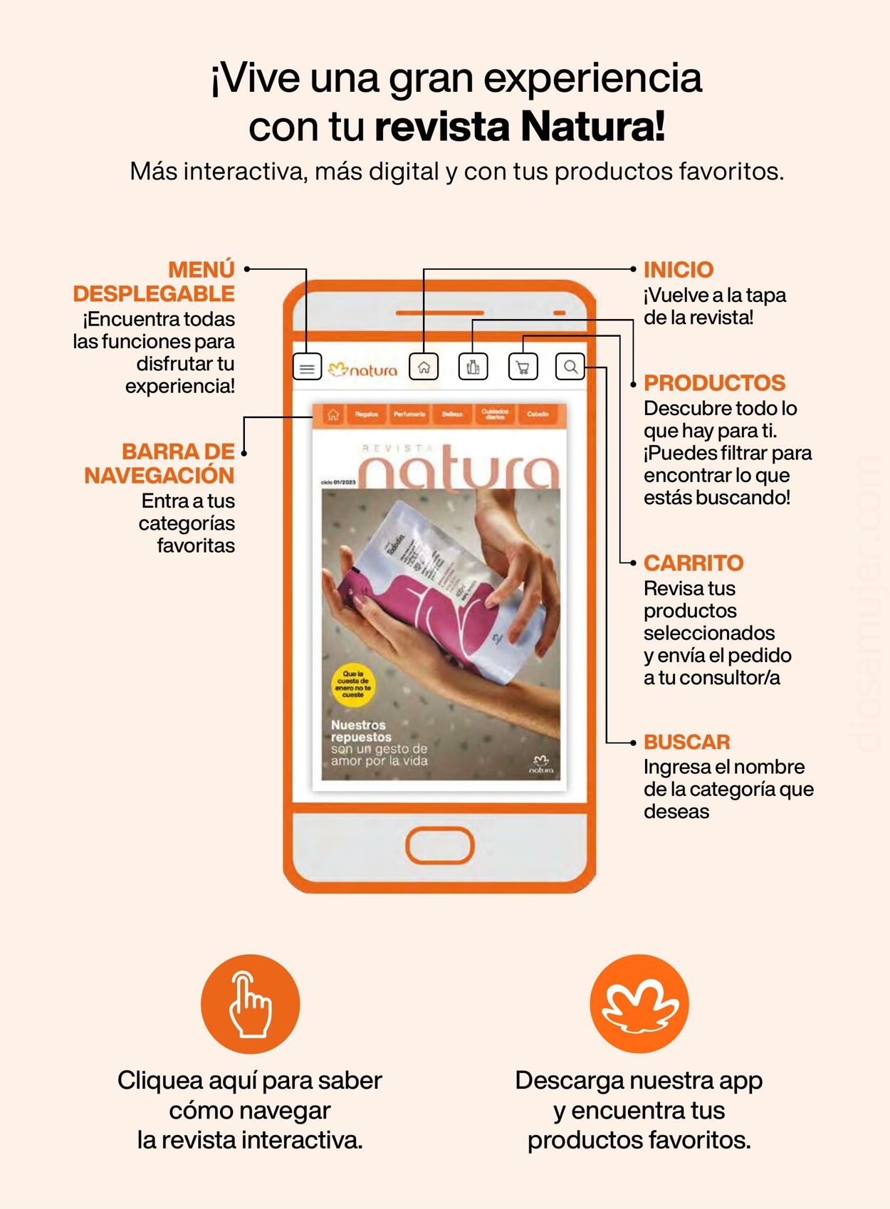 Catálogo Natura 26.06.2023 - 16.07.2023