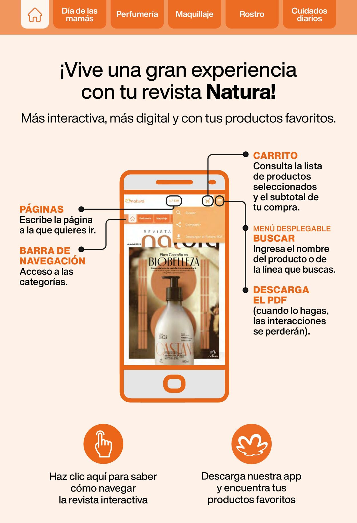 Catálogo Natura 12.04.2022 - 23.05.2022