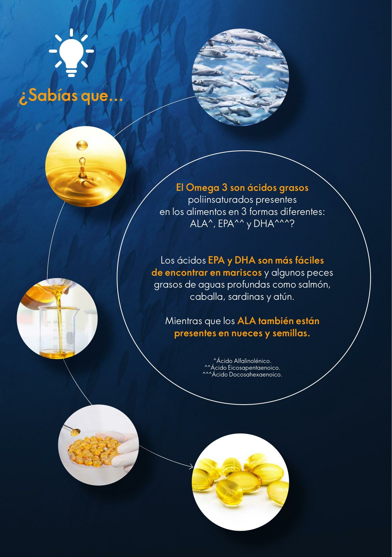 Catálogo Oriflame 05.08.2023 - 25.08.2023