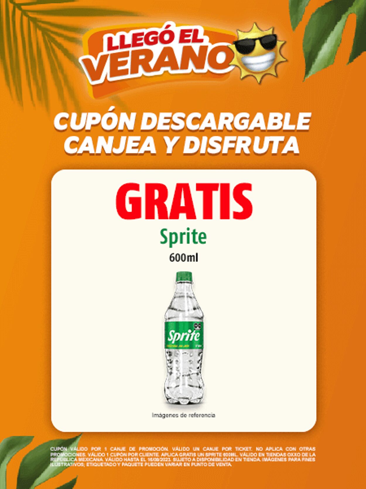 Catálogo Oxxo 31.08.2023 - 13.09.2023