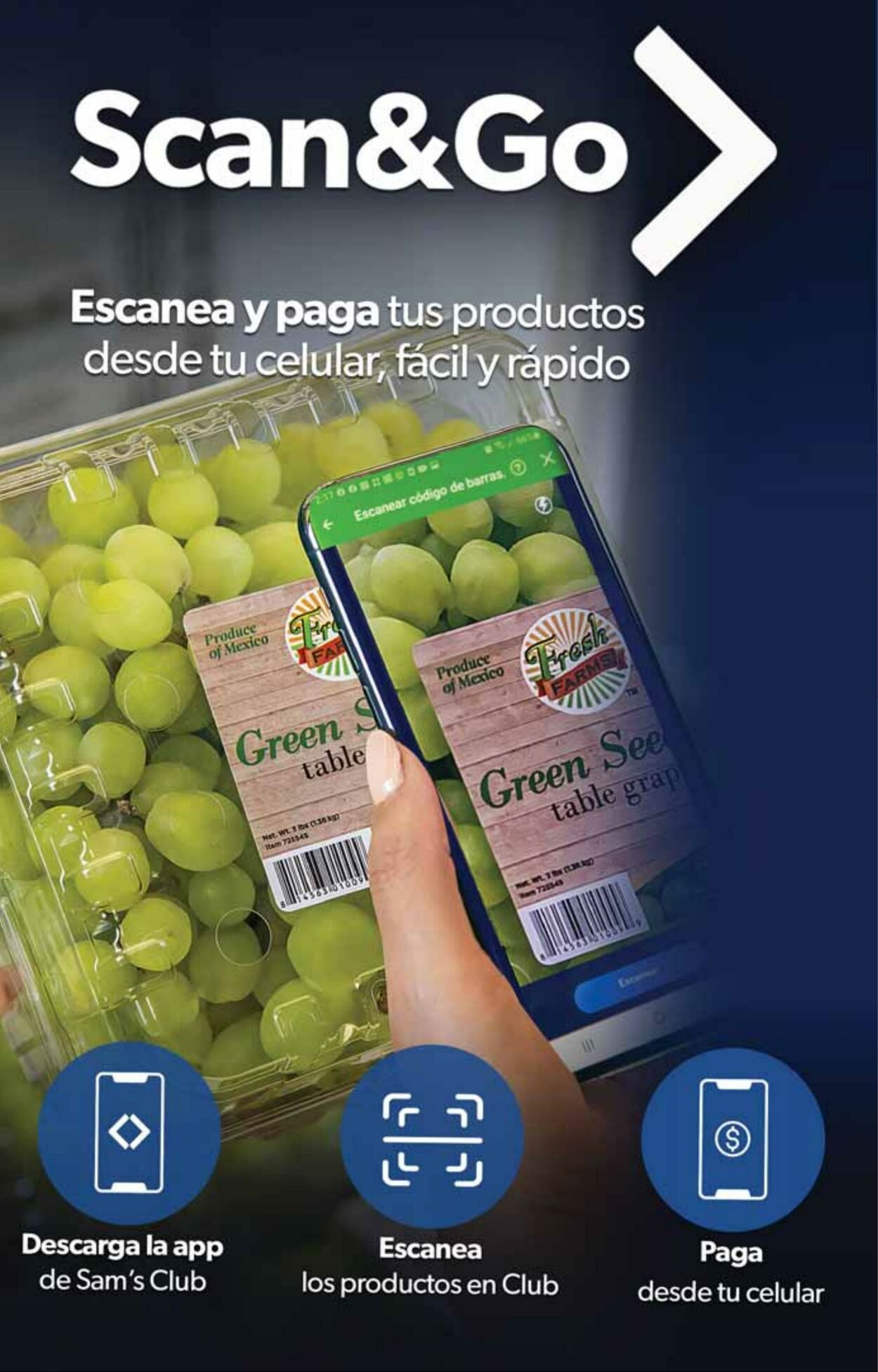 Catálogo Sam's Club 11.11.2022 - 23.11.2022