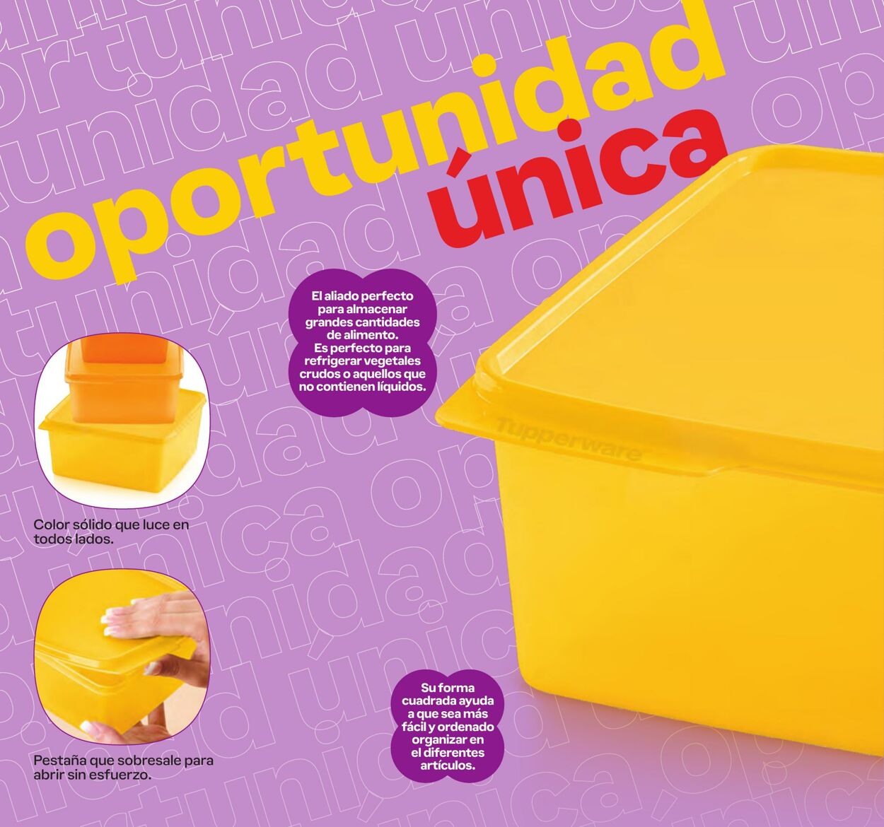 Catálogo Tupperware 18.09.2024 - 14.10.2024