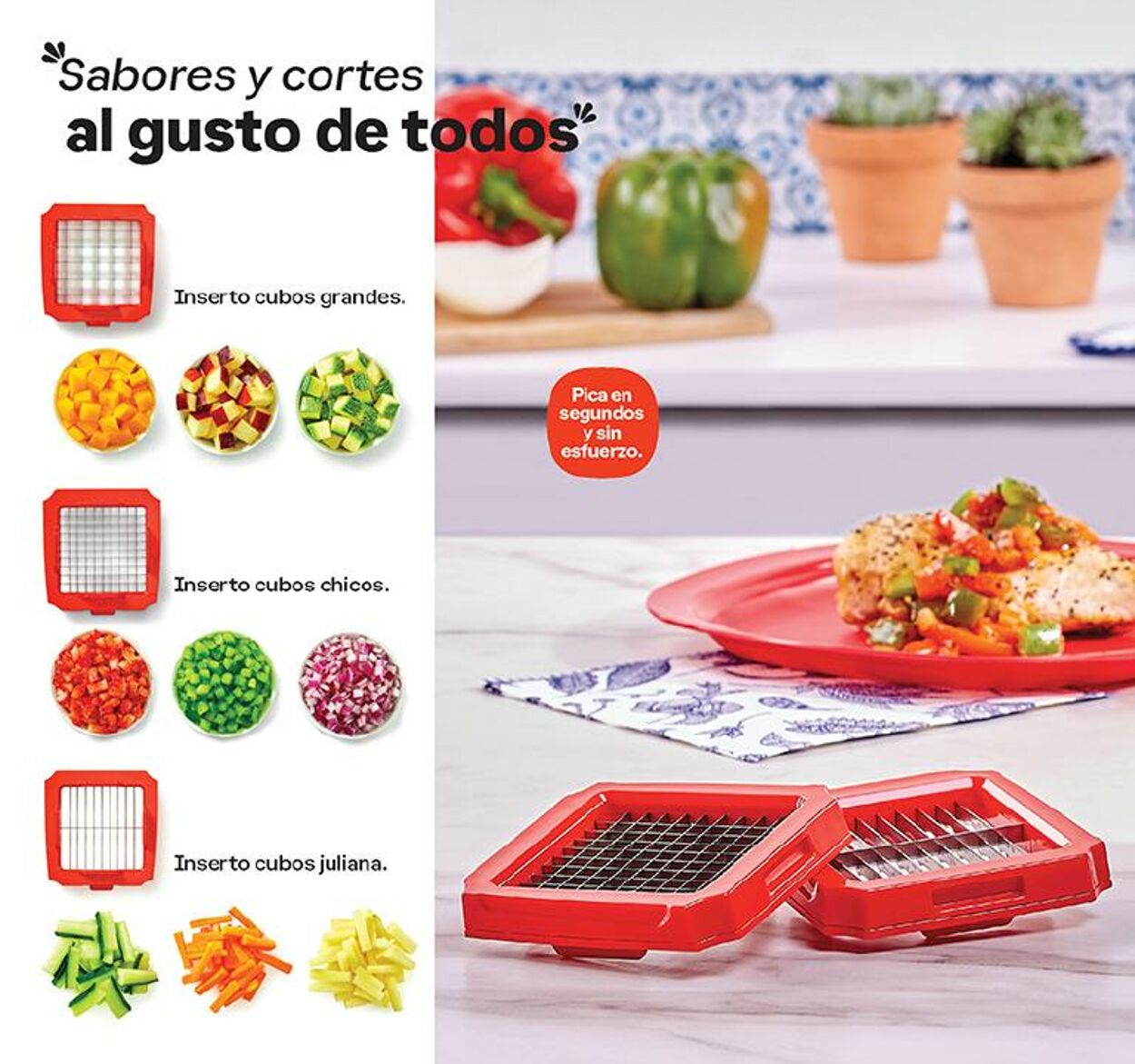 Catálogo Tupperware 04.09.2024 - 16.09.2024