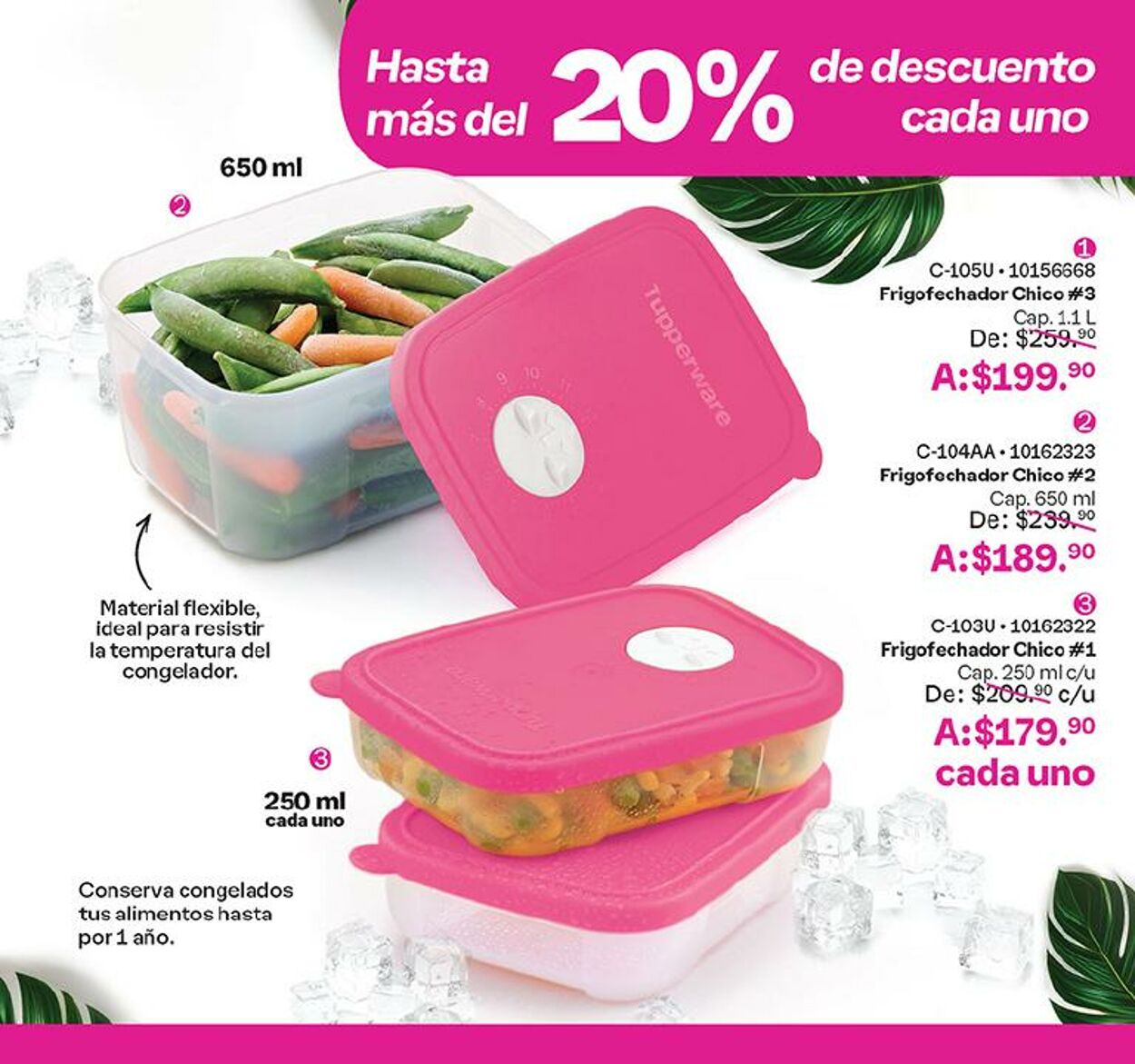 Catálogo Tupperware 04.09.2024 - 16.09.2024