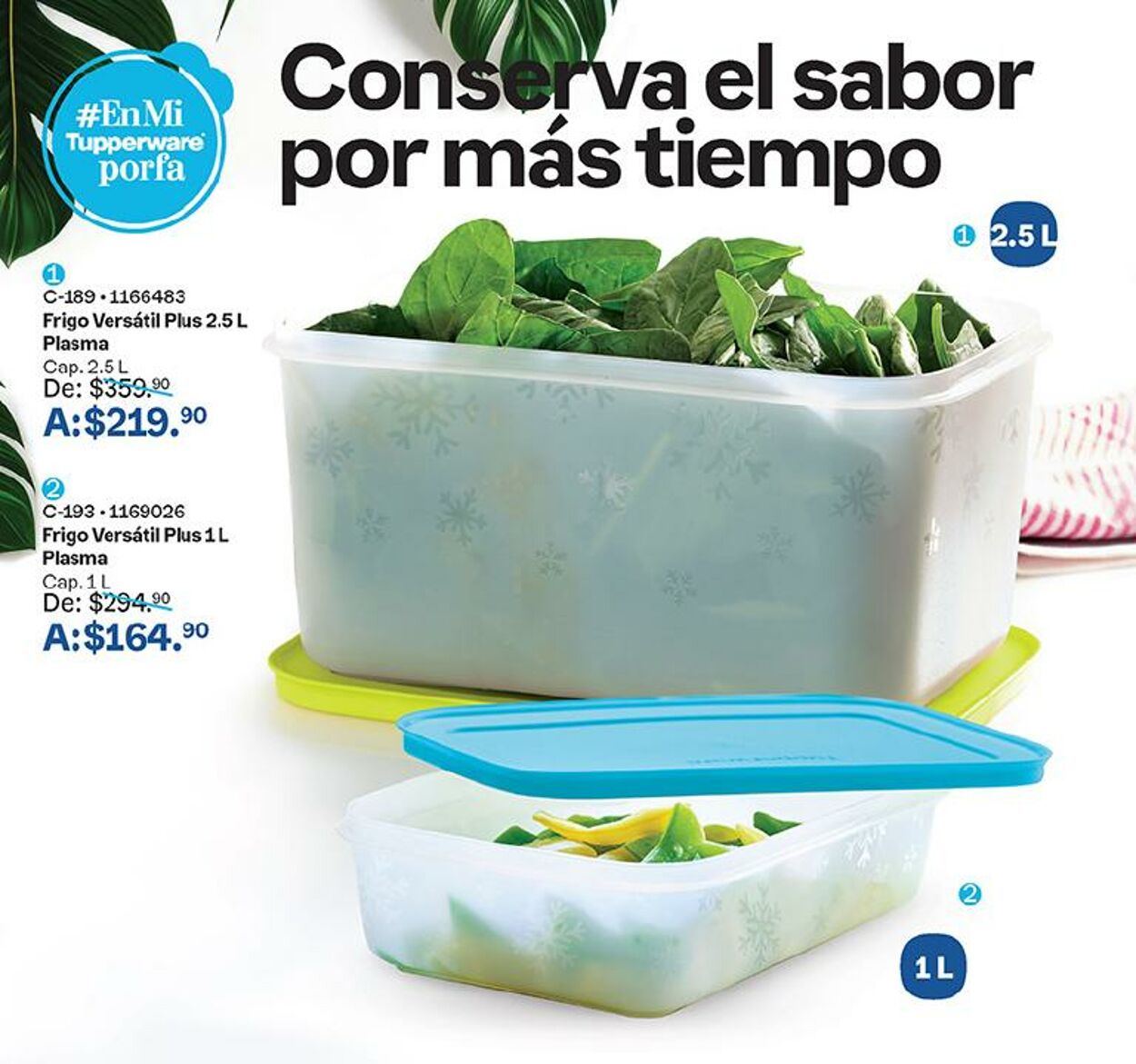 Catálogo Tupperware 04.09.2024 - 16.09.2024