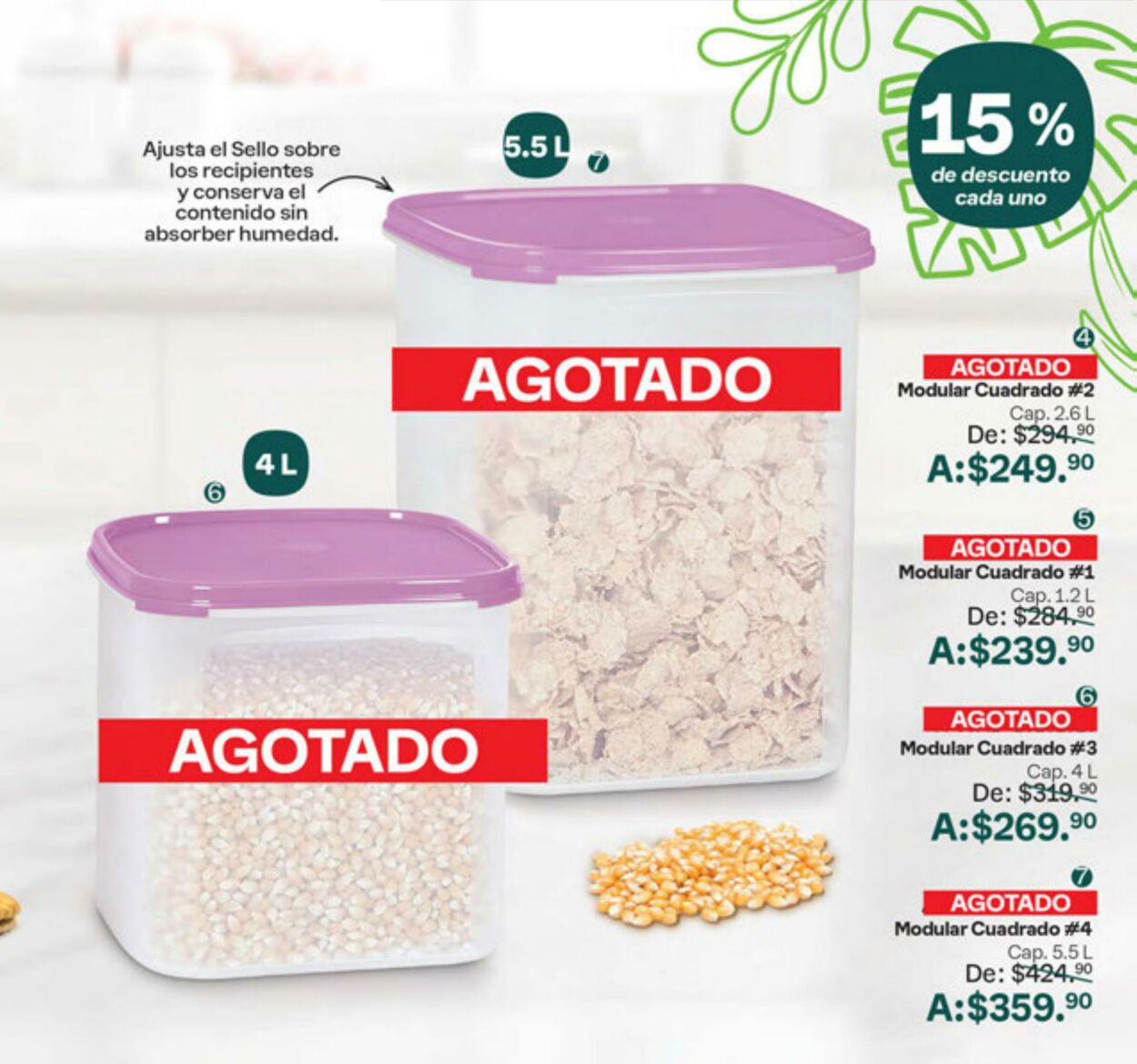 Catálogo Tupperware 01.08.2024 - 19.08.2024