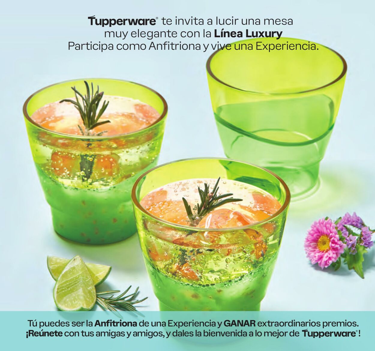 Catálogo Tupperware 04.03.2024 - 24.03.2024