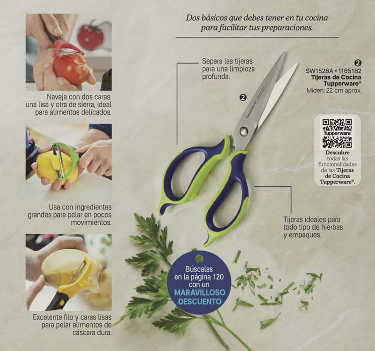 Catálogo Tupperware 31.07.2023 - 20.08.2023