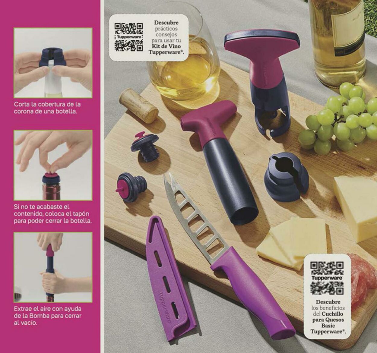 Catálogo Tupperware 31.07.2023 - 20.08.2023