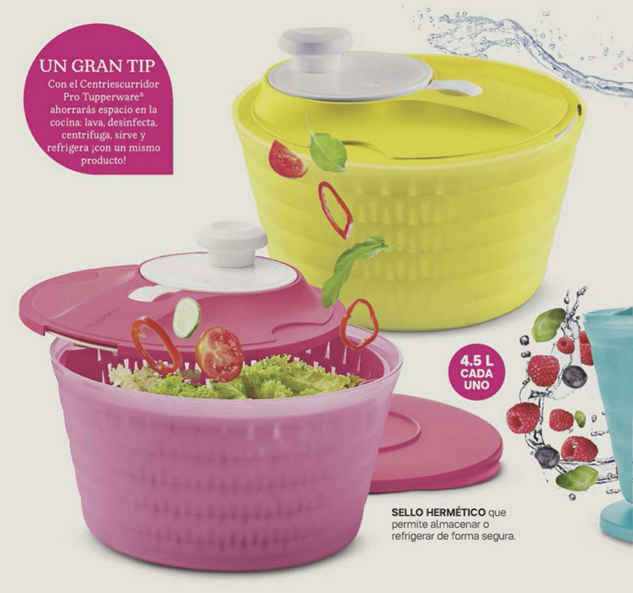 Catálogo Tupperware 31.07.2023 - 20.08.2023