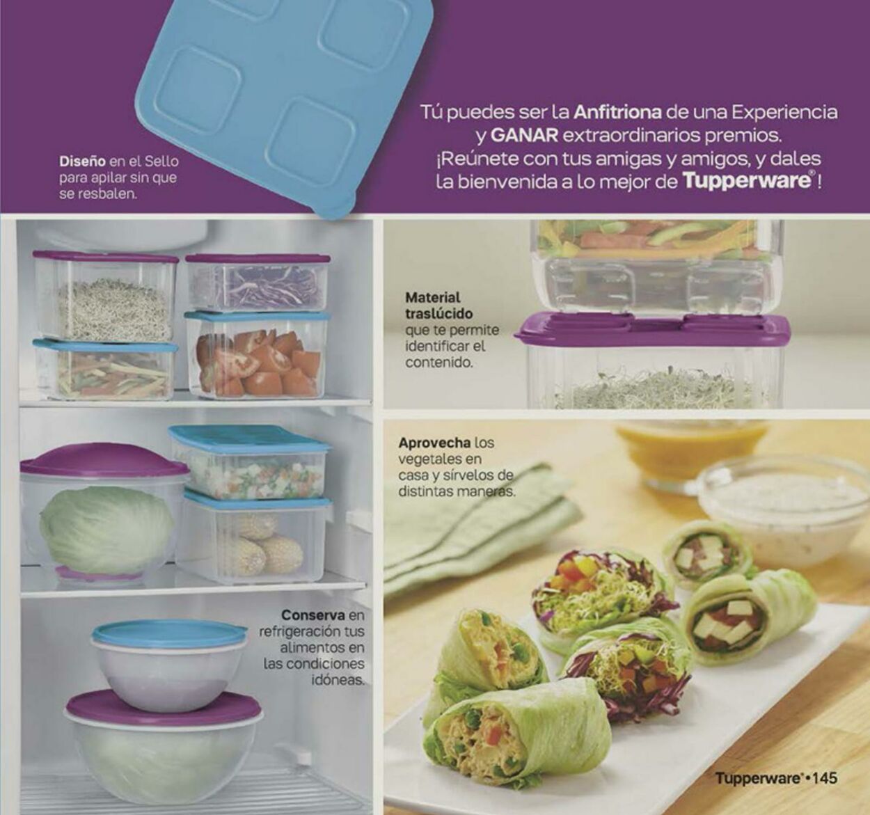 Catálogo Tupperware 31.07.2023 - 20.08.2023