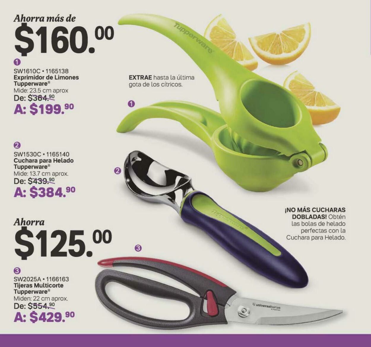 Catálogo Tupperware 21.08.2023 - 10.09.2023