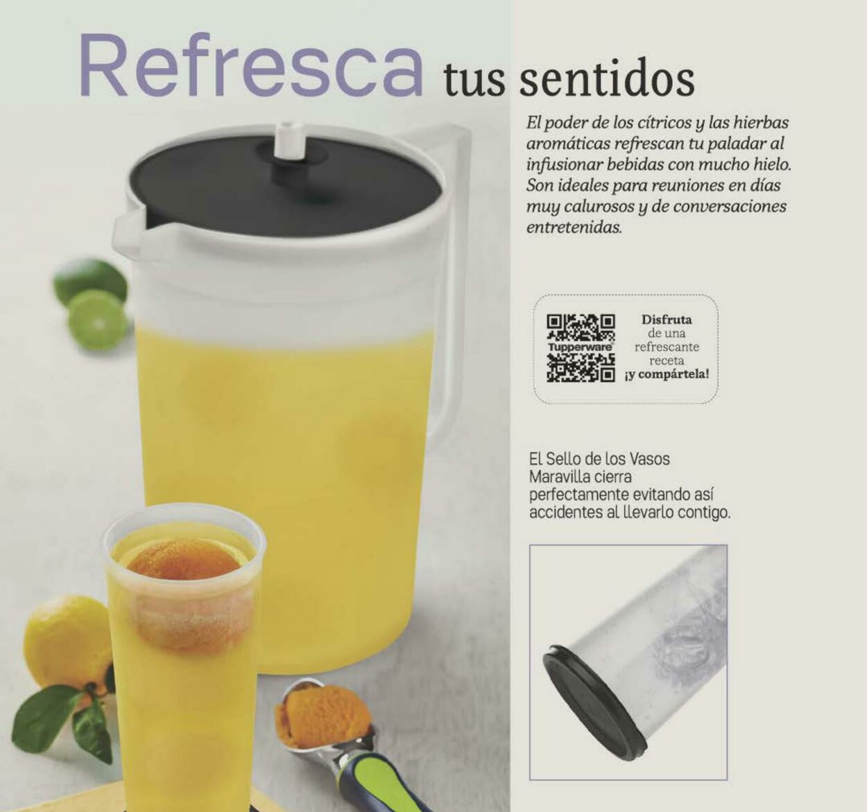 Catálogo Tupperware 21.08.2023 - 10.09.2023