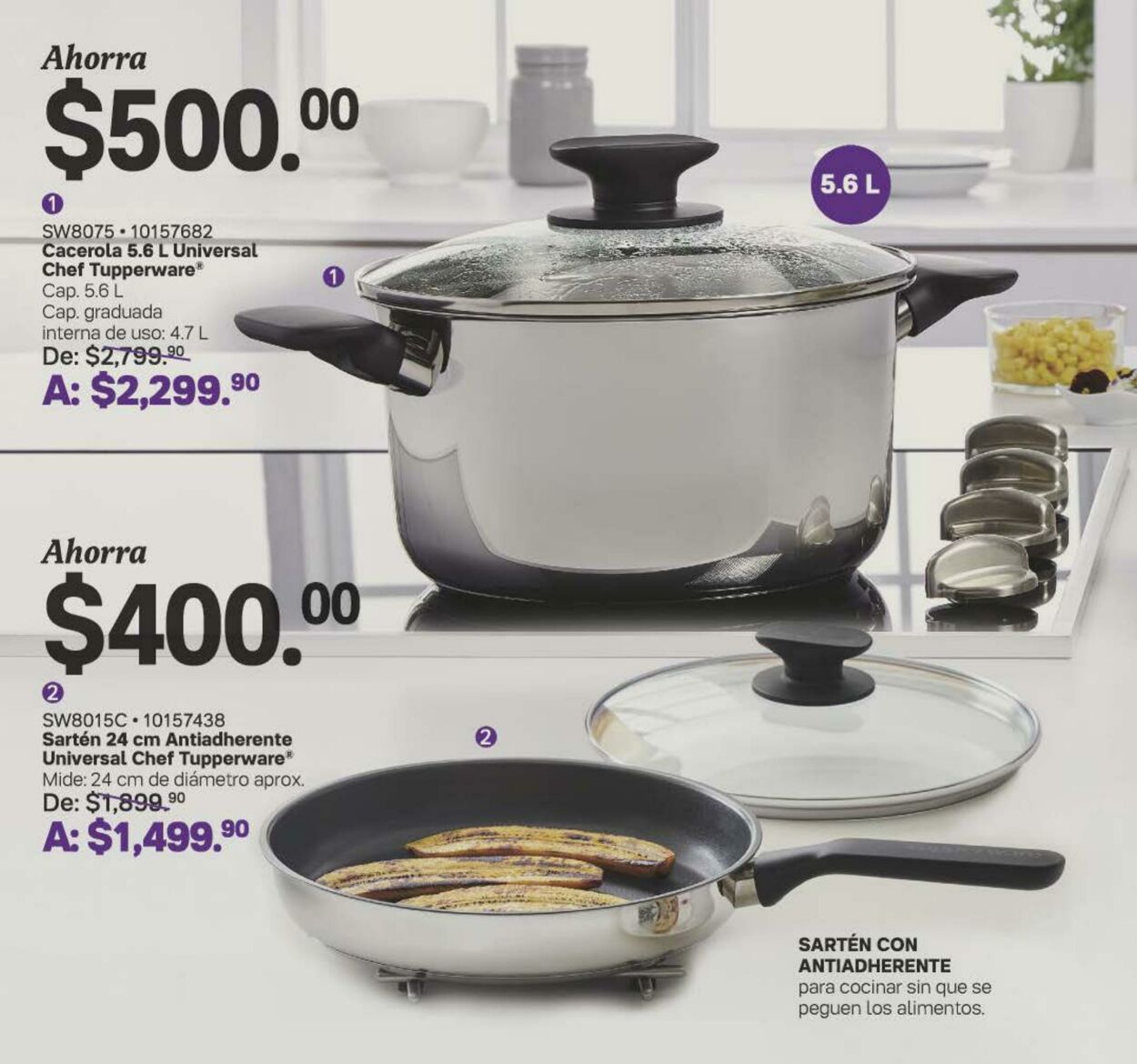 Catálogo Tupperware 21.08.2023 - 10.09.2023
