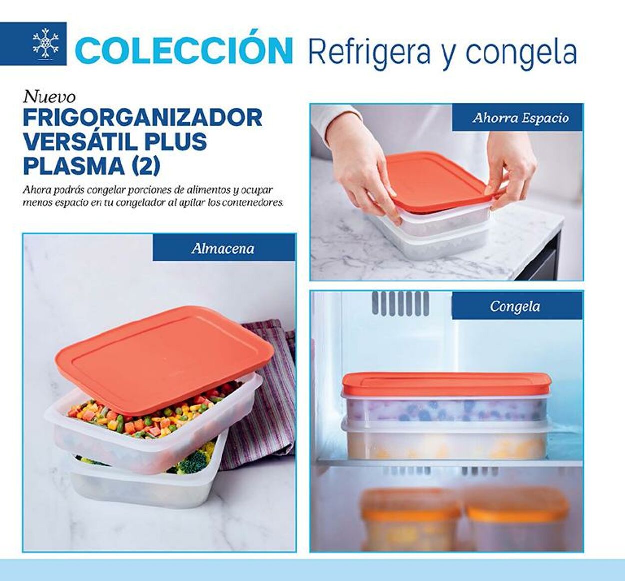 Catálogo Tupperware 02.01.2023 - 22.01.2023