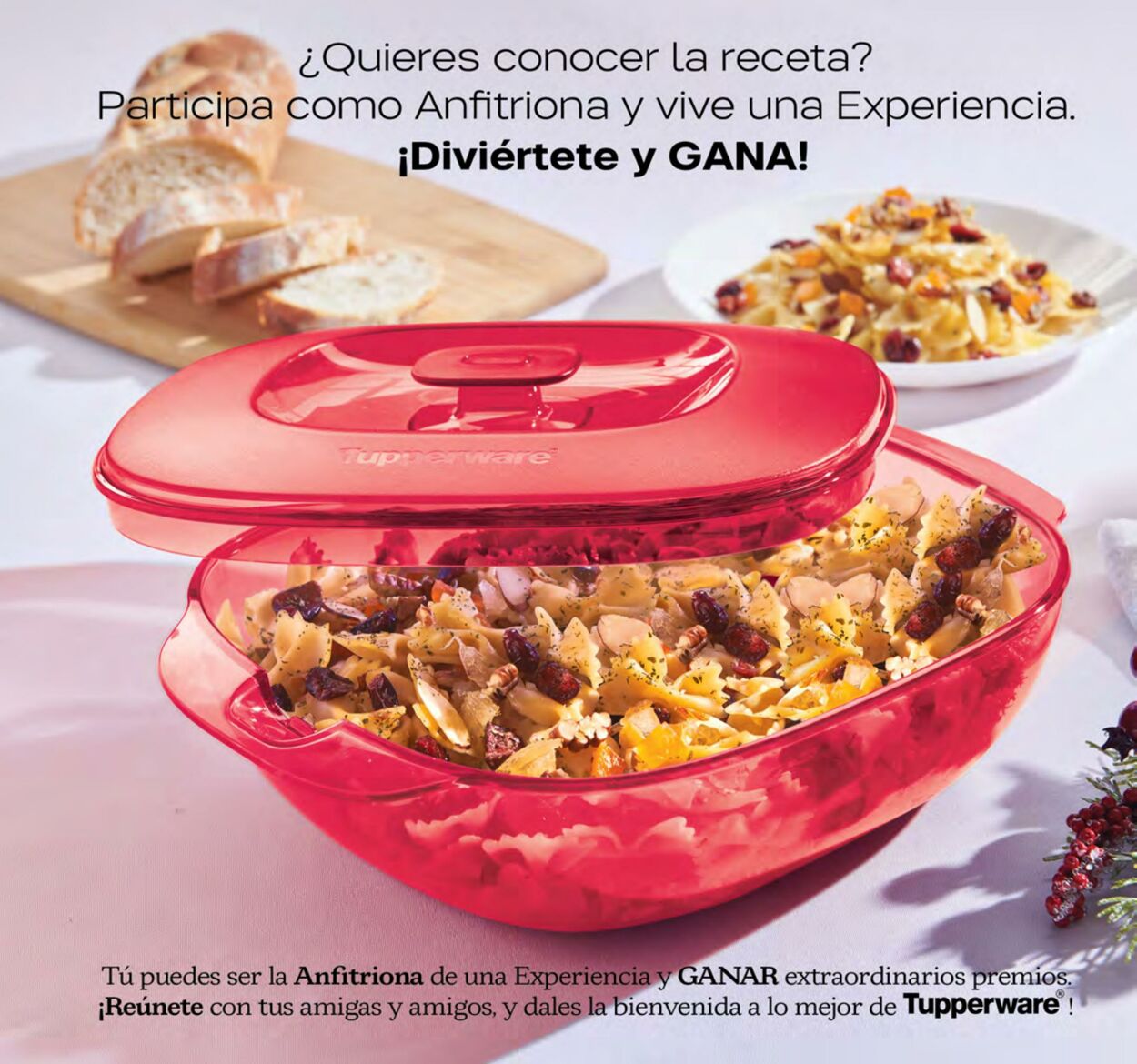 Catálogo Tupperware 05.12.2022 - 01.01.2023