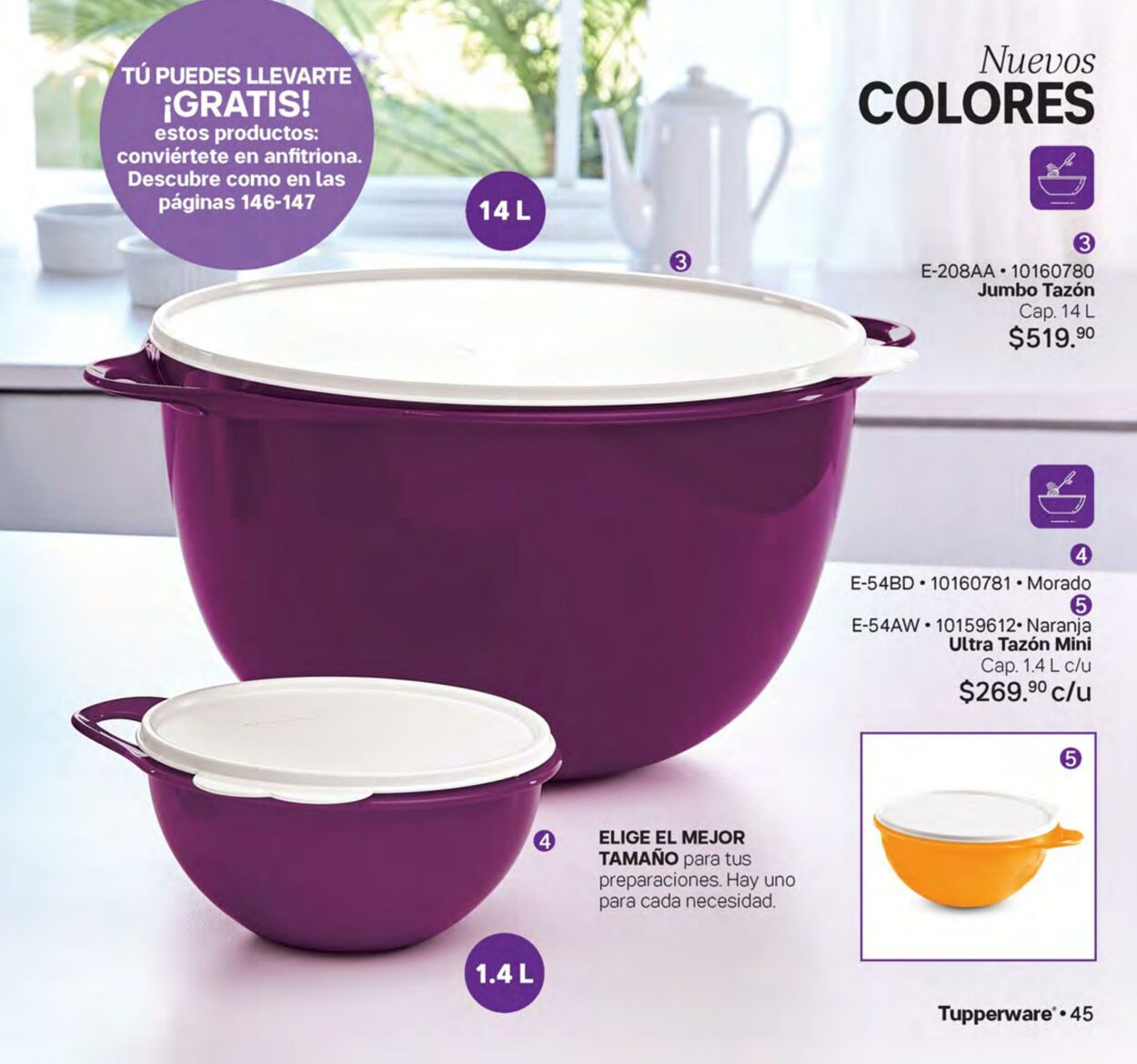 Catálogo Tupperware 29.05.2023 - 18.06.2023