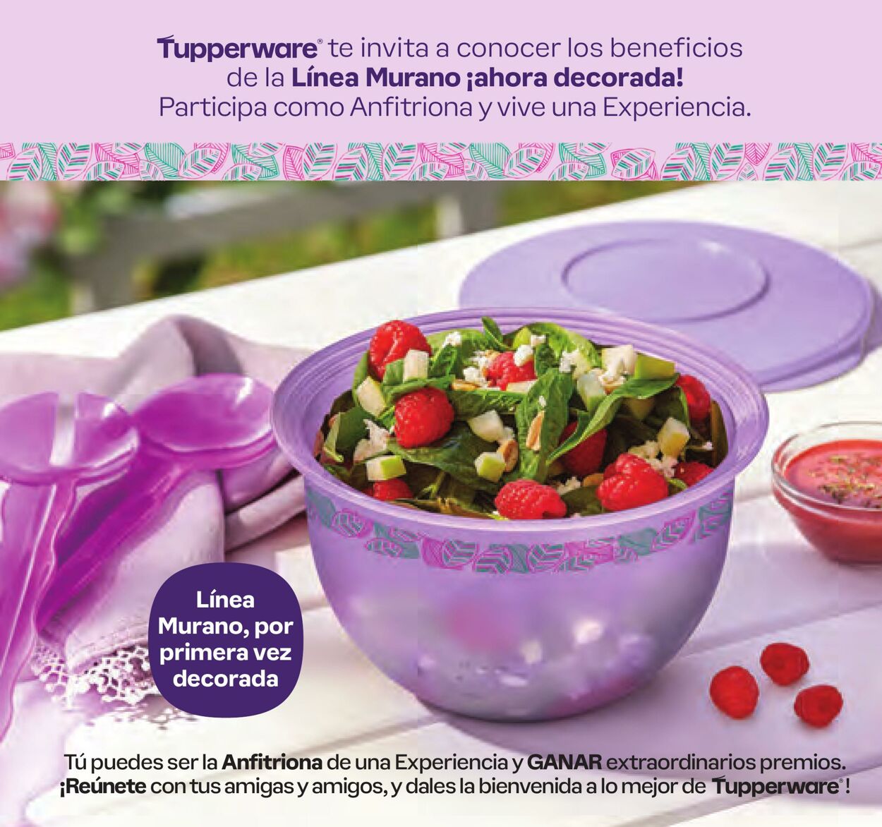 Catálogo Tupperware 12.02.2024 - 03.03.2024