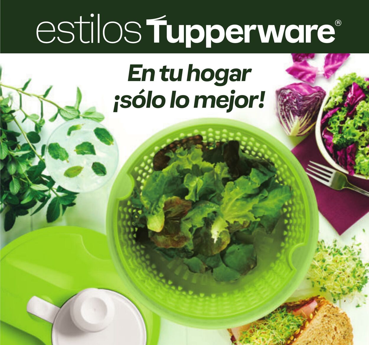 Catálogo Tupperware 25.03.2024 - 14.04.2024