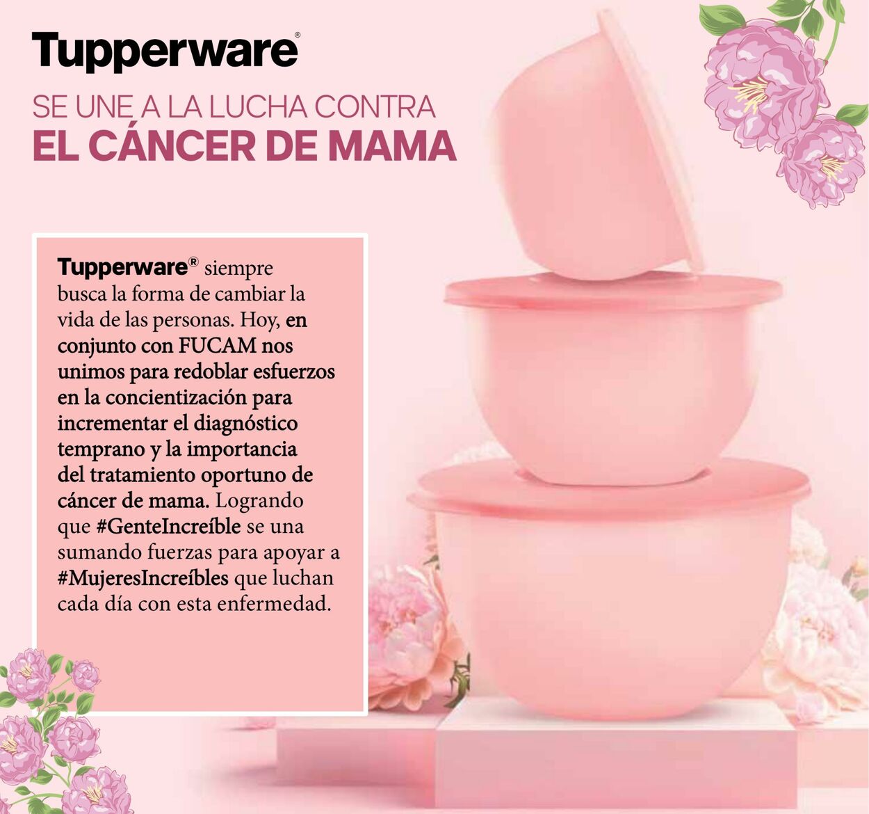 Catálogo Tupperware 04.10.2023 - 22.10.2023