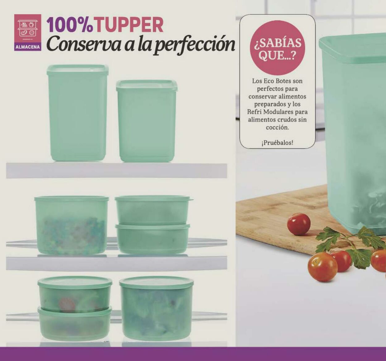 Catálogo Tupperware 23.01.2023 - 12.02.2023