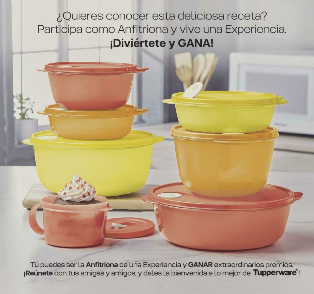 Catálogo Tupperware 23.01.2023 - 12.02.2023