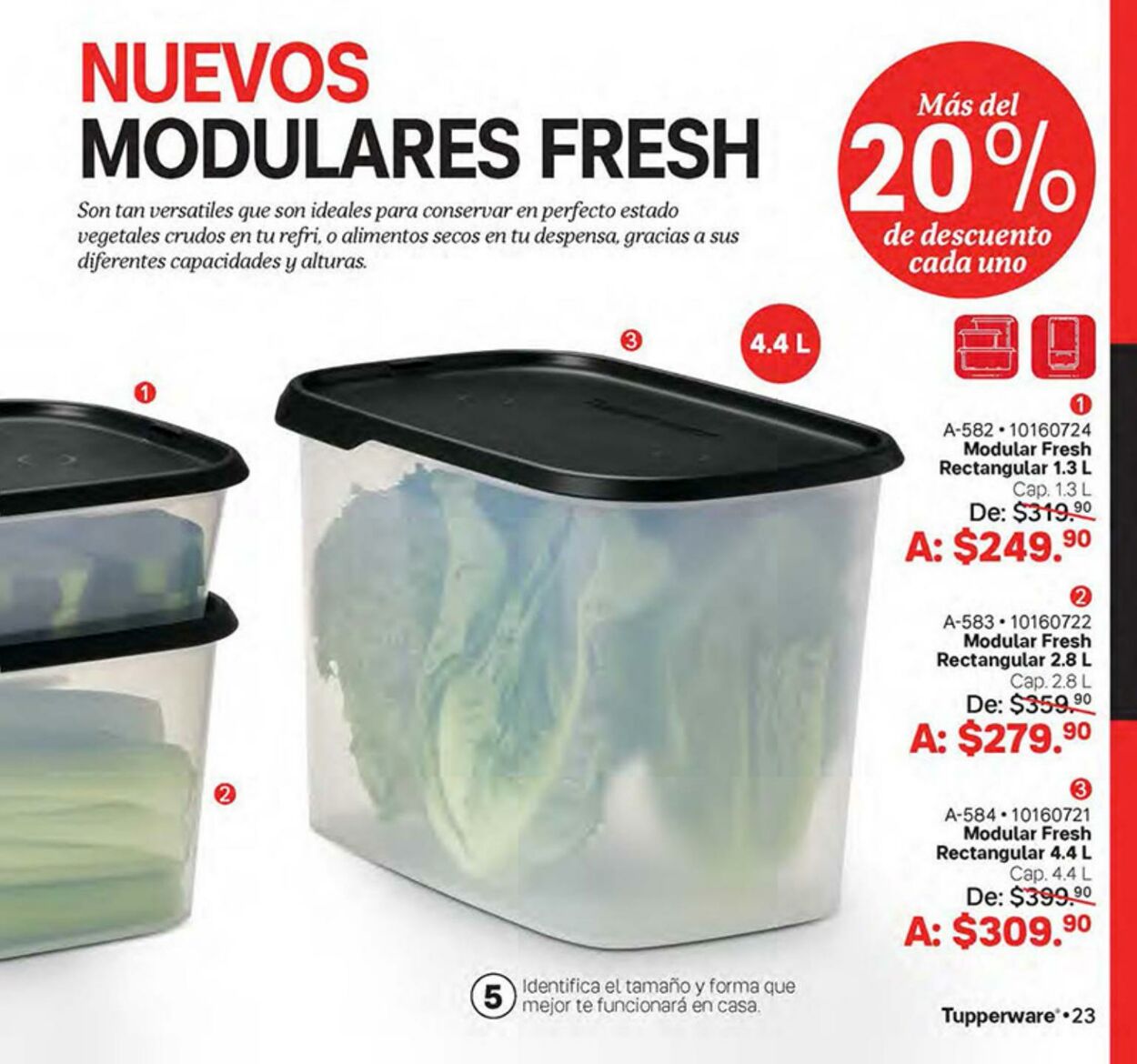 Catálogo Tupperware 19.06.2023 - 09.07.2023