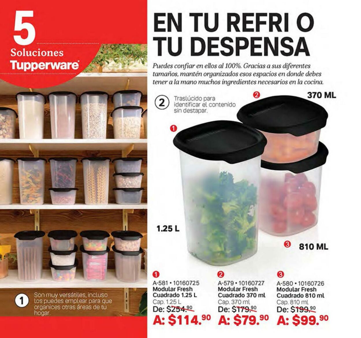 Catálogo Tupperware 19.06.2023 - 09.07.2023