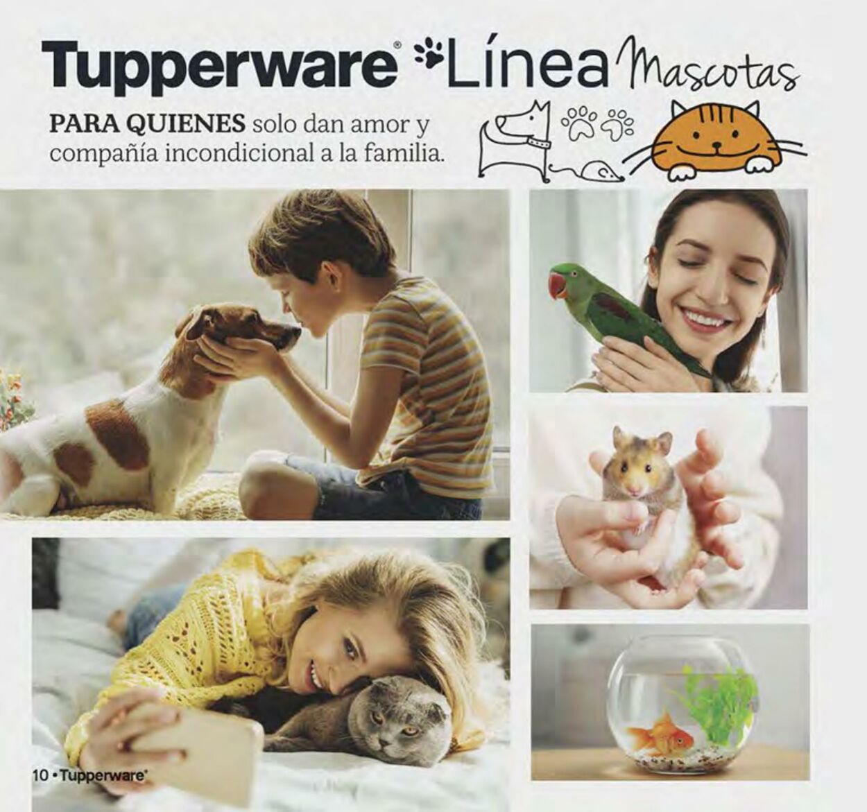 Catálogo Tupperware 25.07.2022 - 14.08.2022