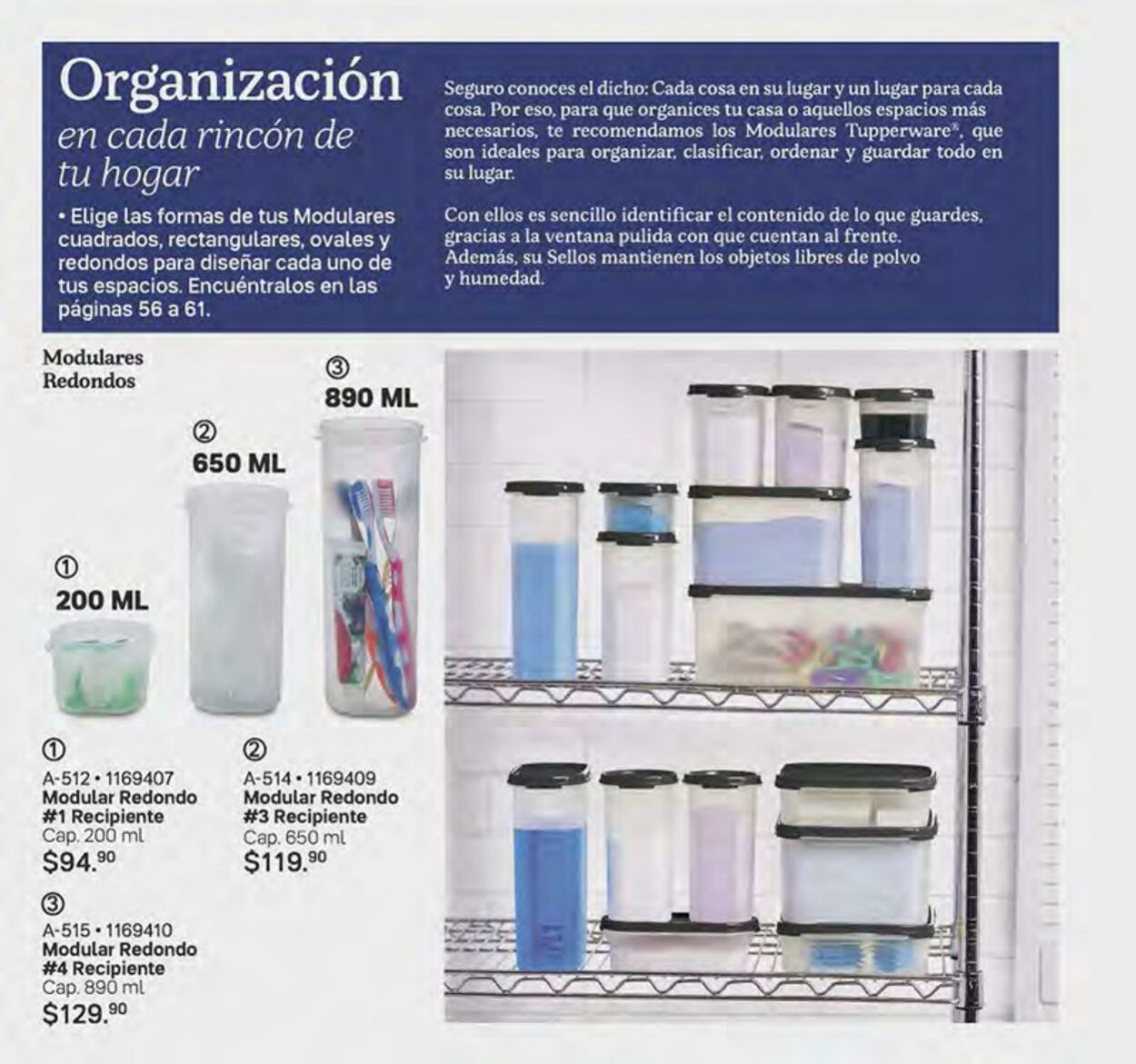 Catálogo Tupperware 25.07.2022 - 14.08.2022