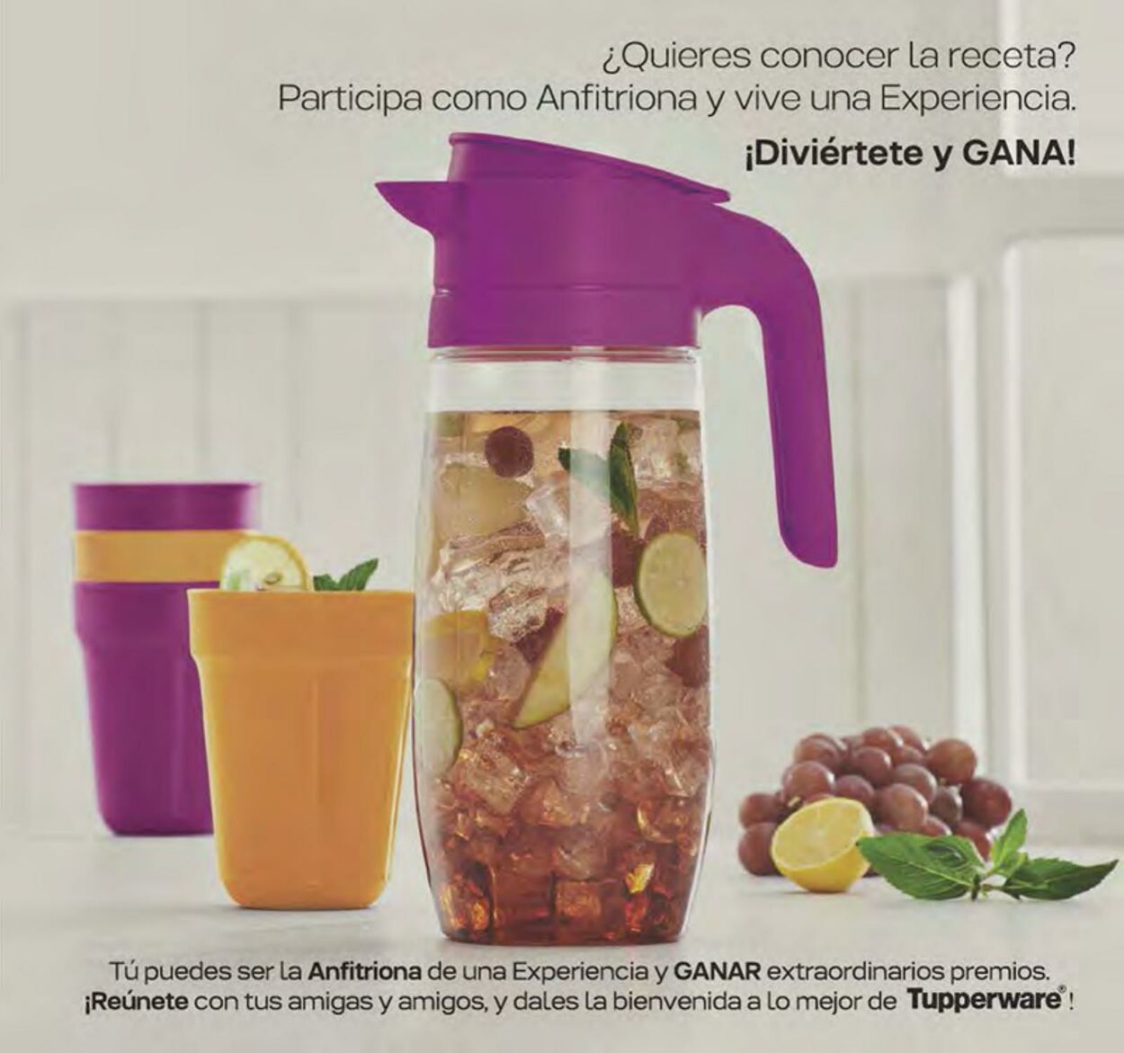 Catálogo Tupperware 08.05.2023 - 28.05.2023