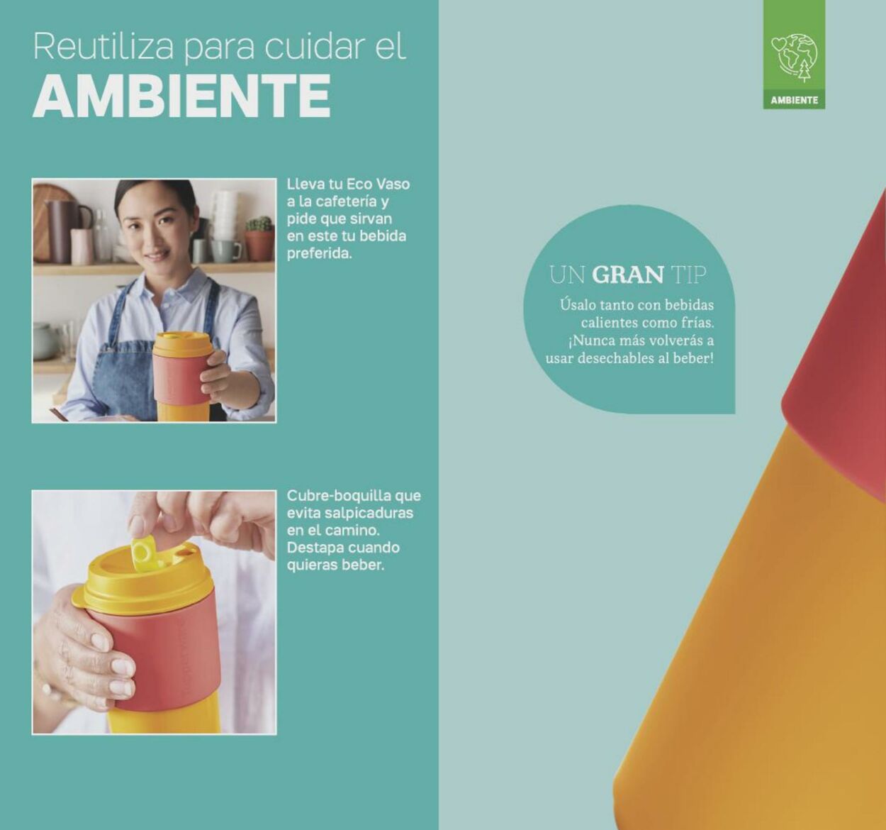 Catálogo Tupperware 07.02.2022 - 27.02.2022